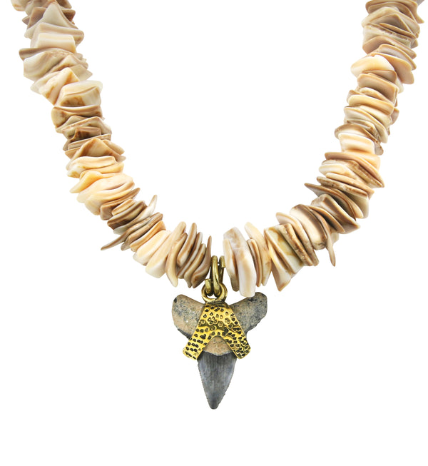 Brass Fossilized Shark Tooth Flat Seashell Necklace