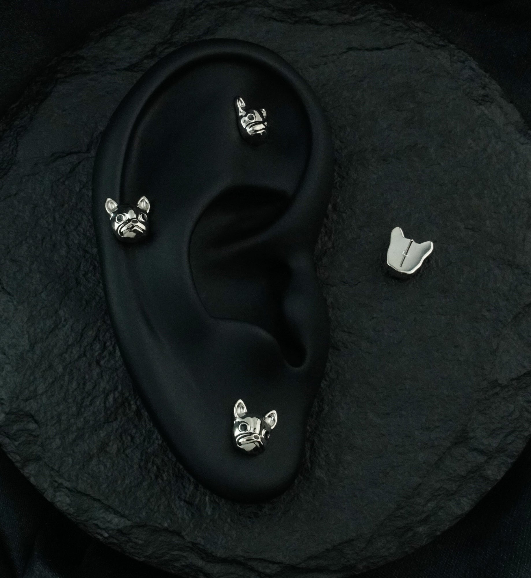 French Bulldog Head Titanium Threadless Top