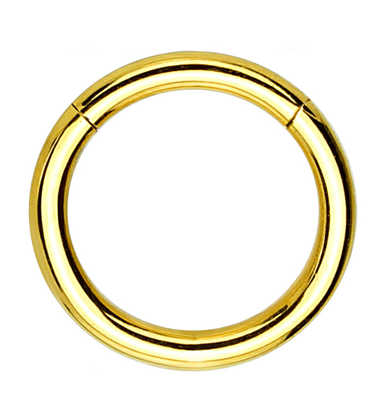Gold Hinged Stainless Steel Segment Hoop Ring | UrbanBodyJewelry.com