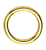 Gold PVD Hinged Stainless Steel Segment Hoop Ring