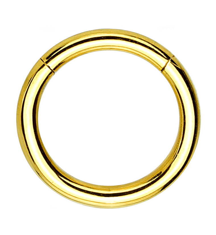 Gold PVD Hinged Stainless Steel Segment Hoop Ring