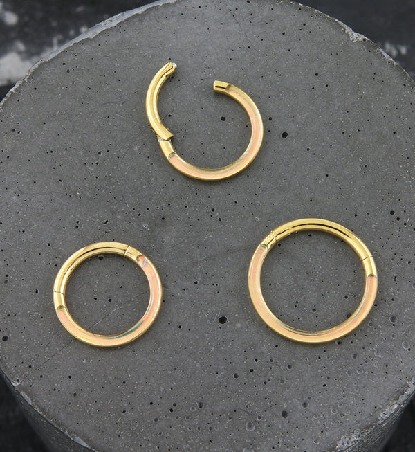 Gold PVD Achromic Titanium Hinged Segment Ring