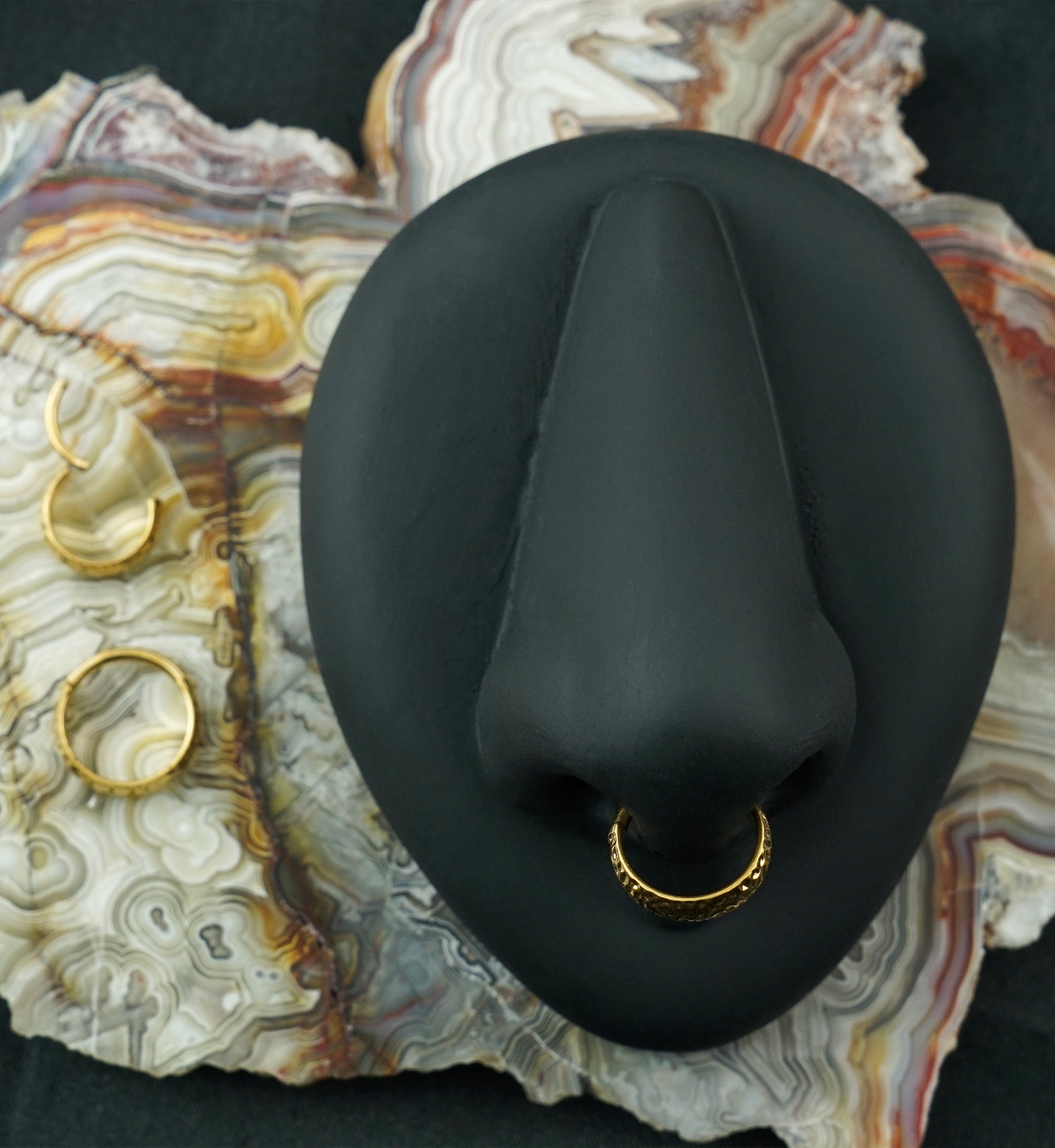 Gold PVD Anthozoan Titanium Hinged Segment Ring