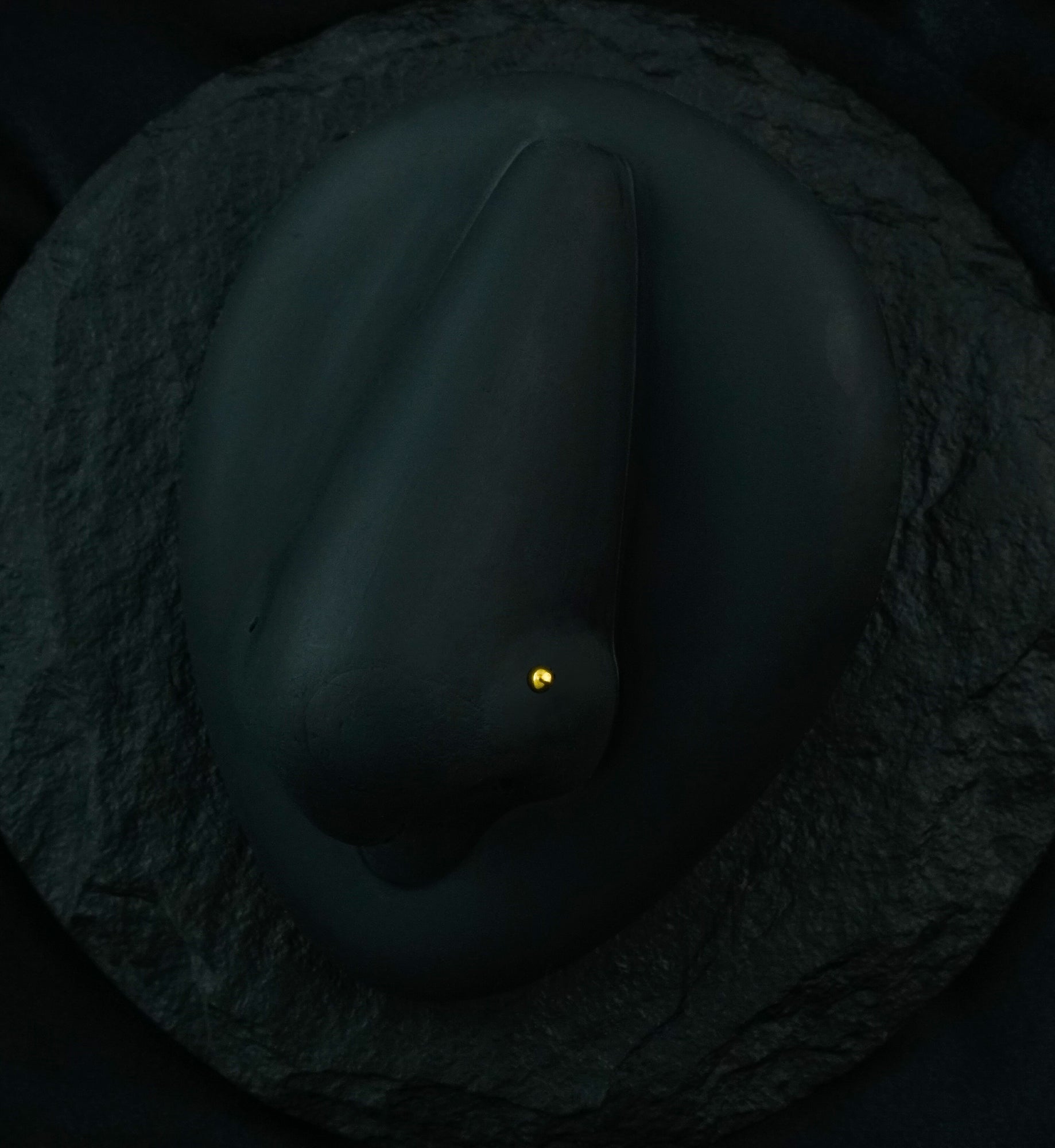 Gold PVD Ball Top L Bend Nose Ring