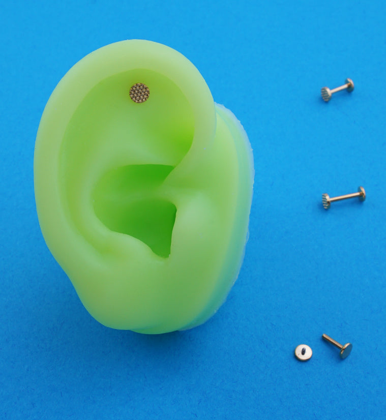 Gold PVD Beaded Disk Internally Threaded Titanium Labret ...