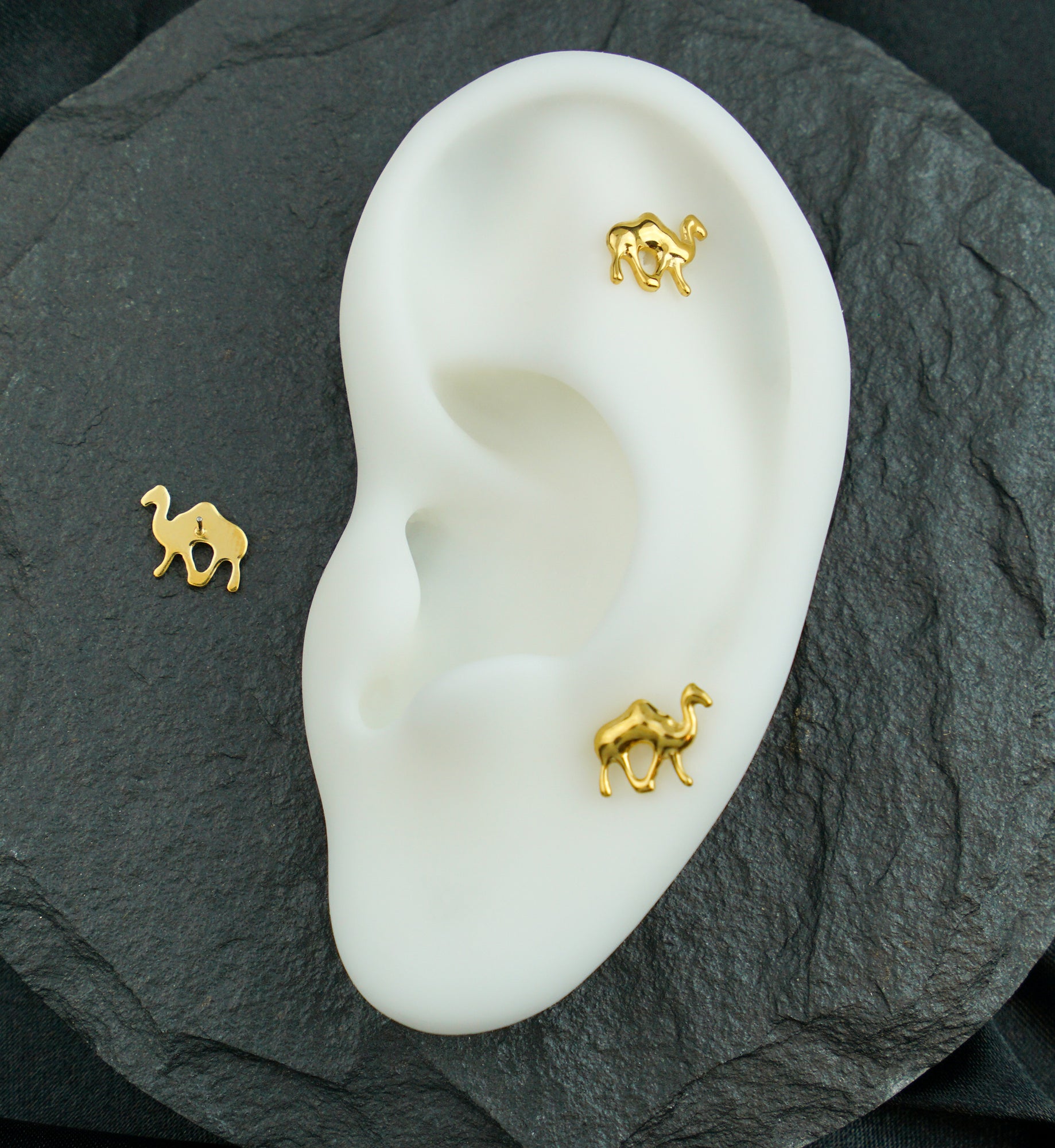 Gold PVD Camel Titanium Threadless Top