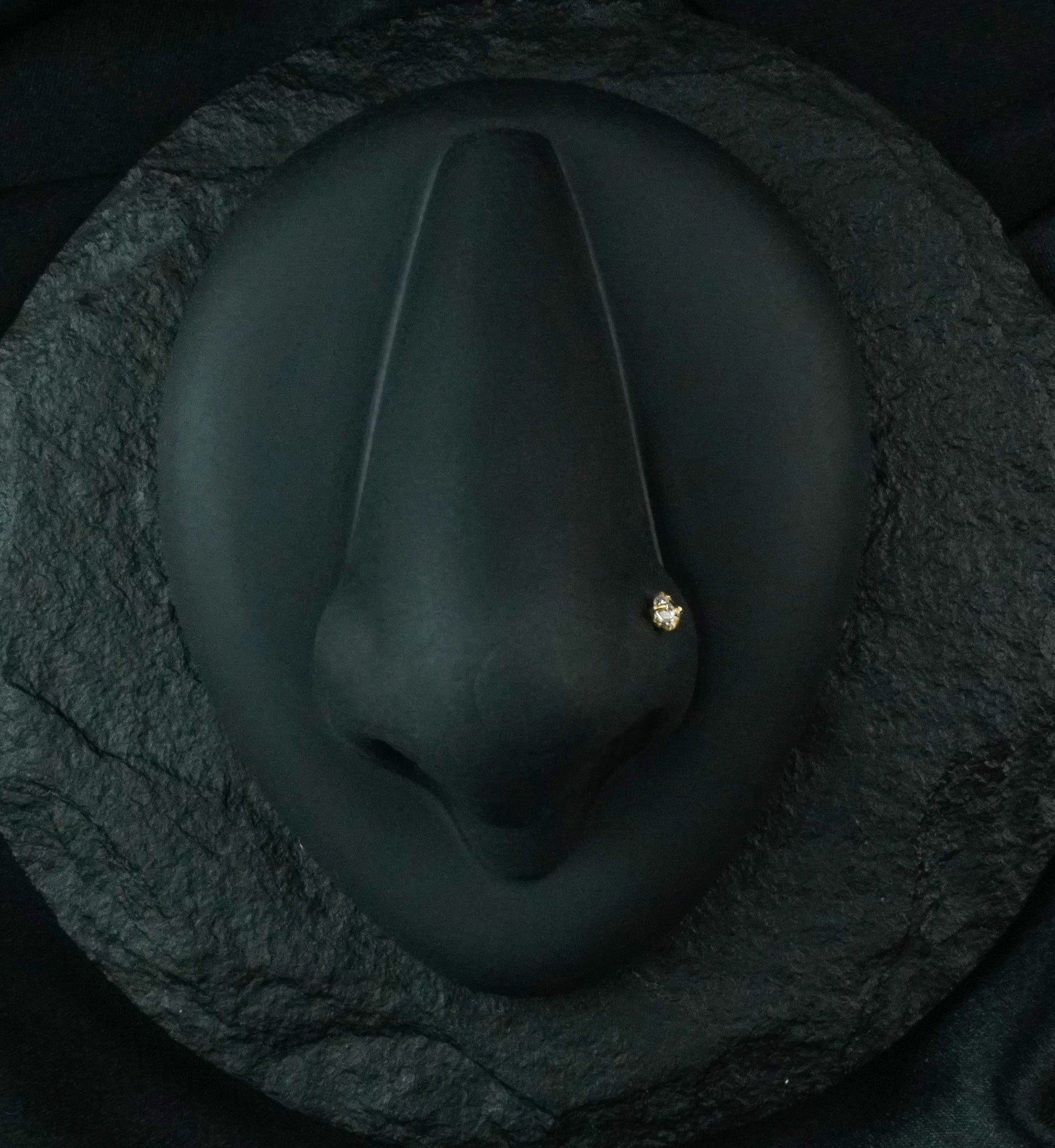 Gold Prong Set CZ Stainless Steel Nose Screw