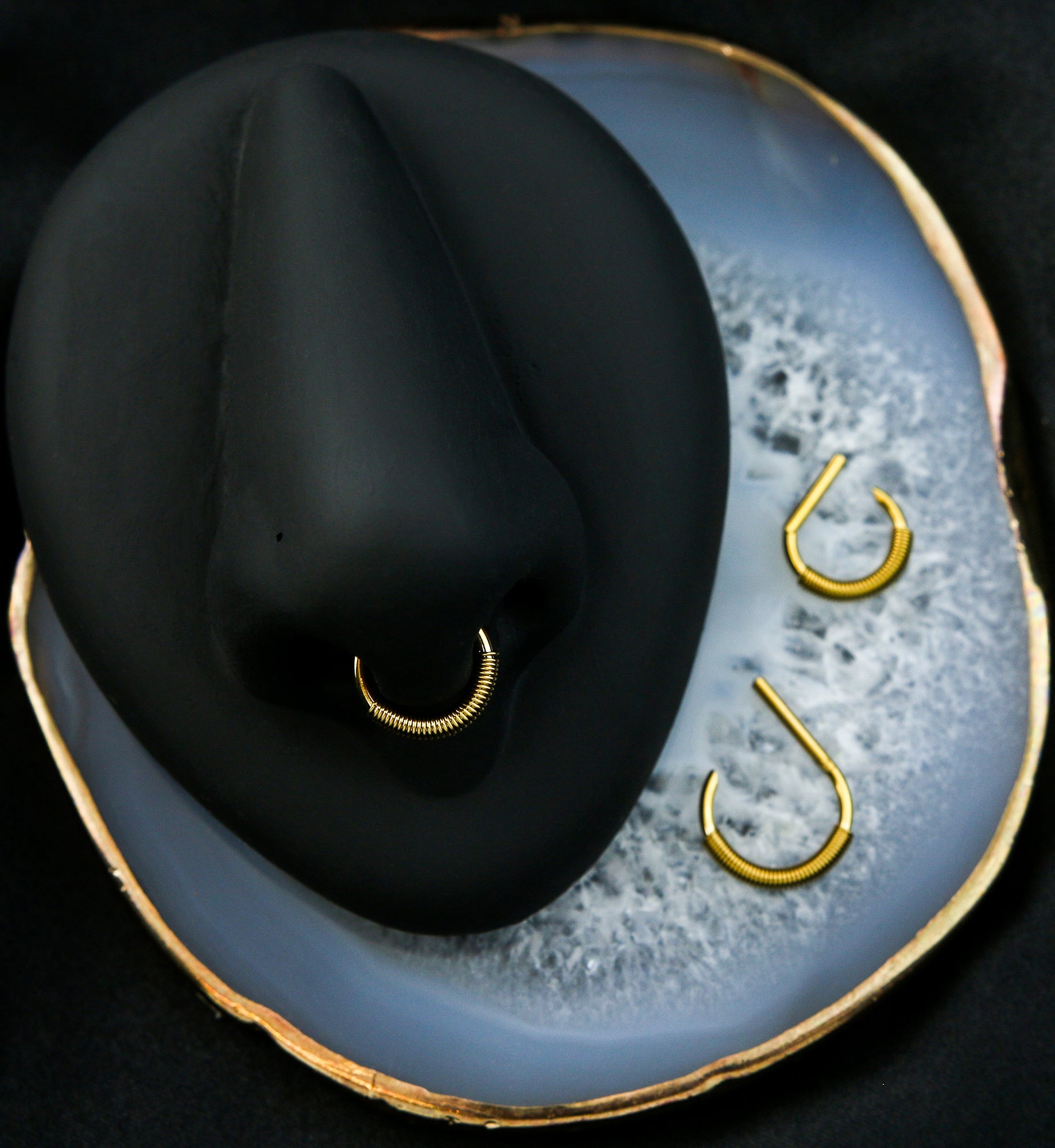 Gold PVD Coil D-Shaped Stainless Steel Hinged Segment Ring