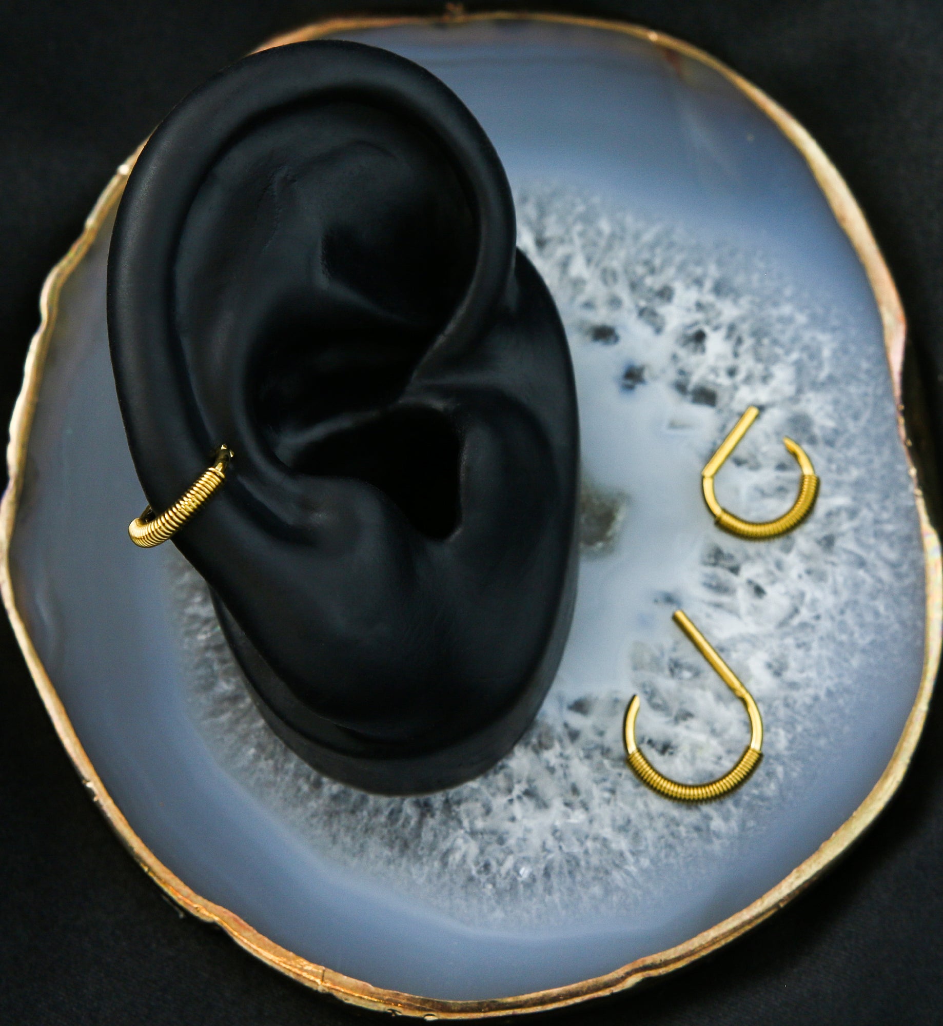 Gold PVD Coil D-Shaped Stainless Steel Hinged Segment Ring