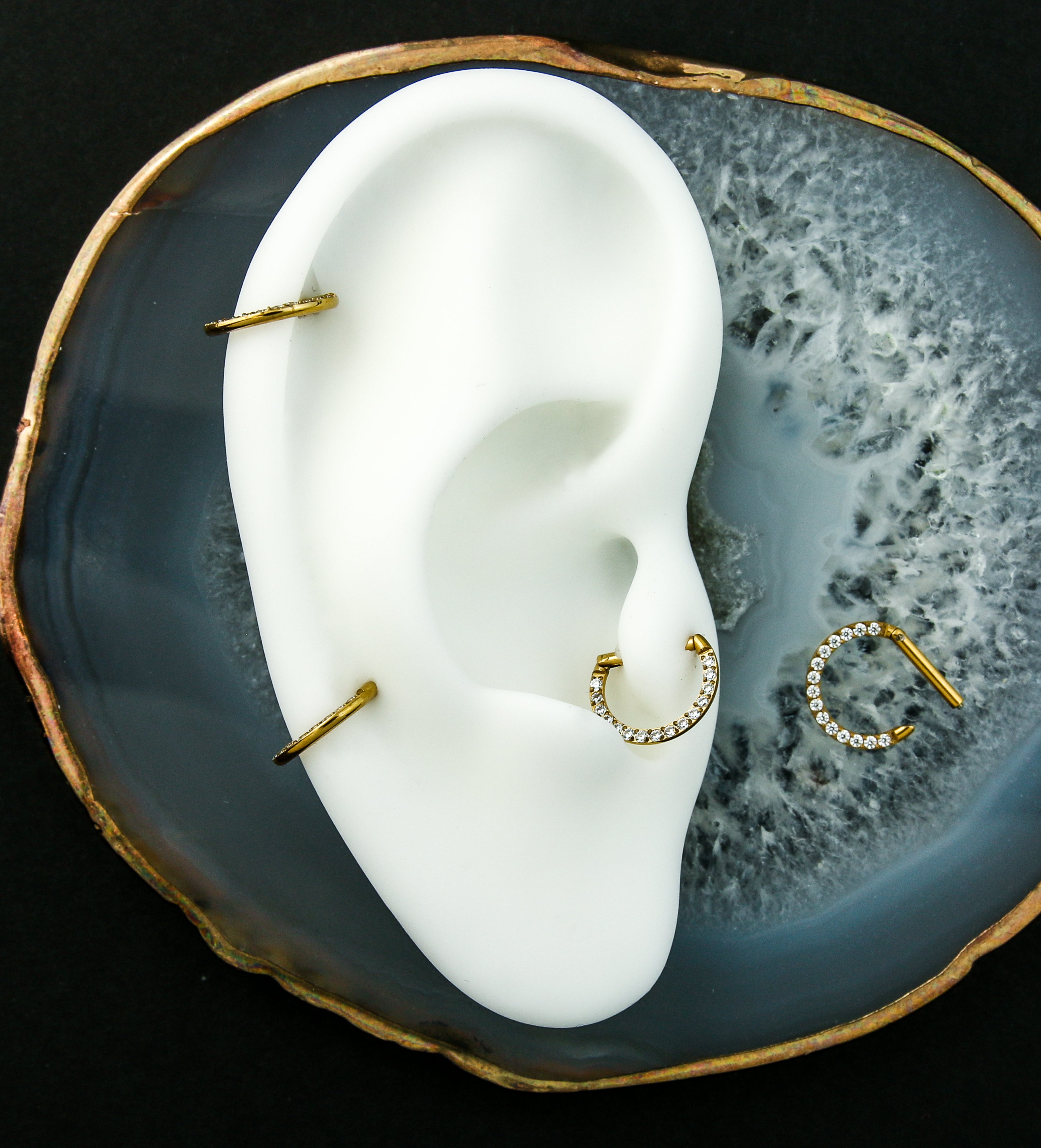 Gold PVD D-Shaped Clear CZ Stainless Steel Hinged Segment Ring