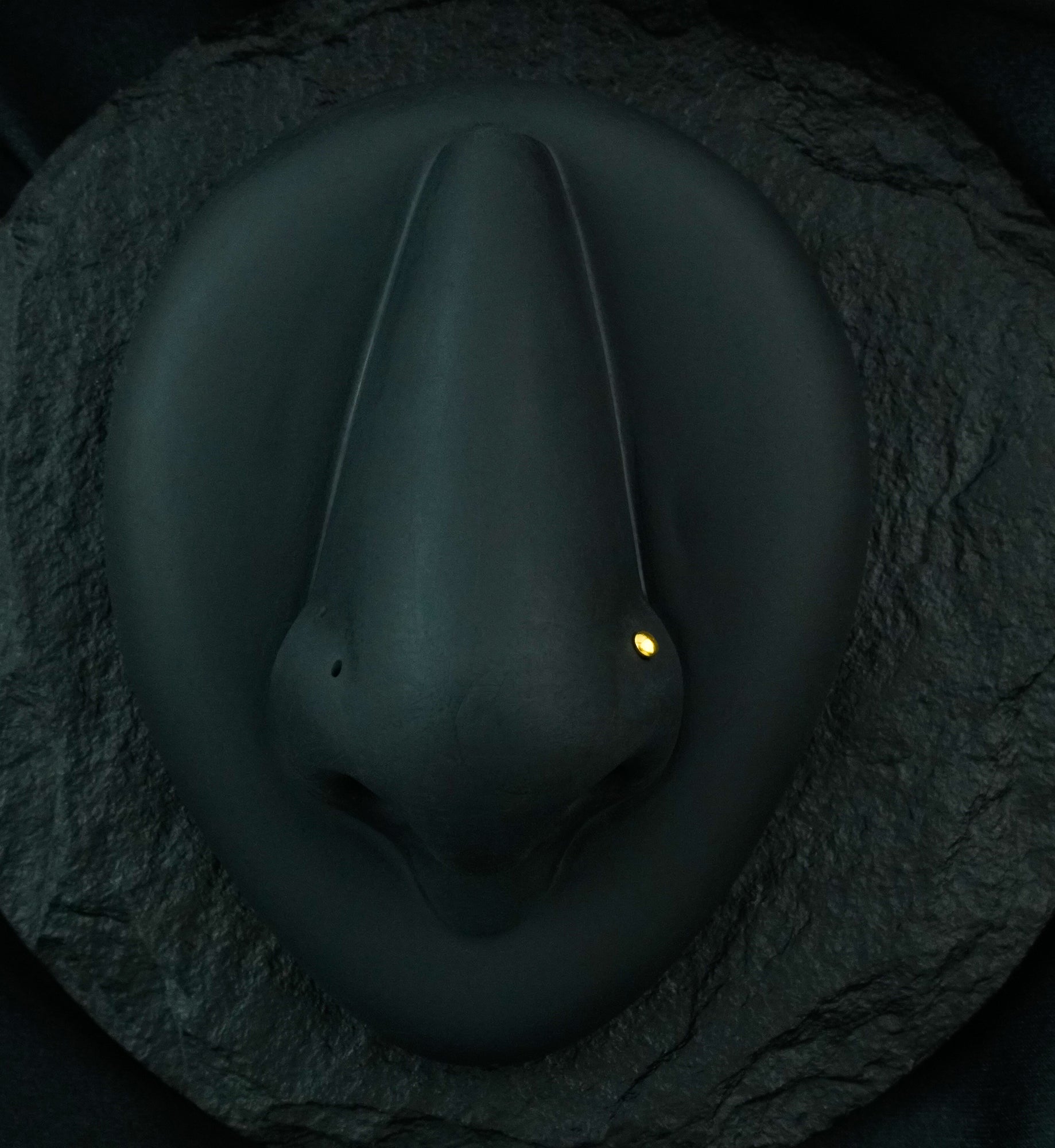 Gold PVD Dome Top L Bend Nose Ring