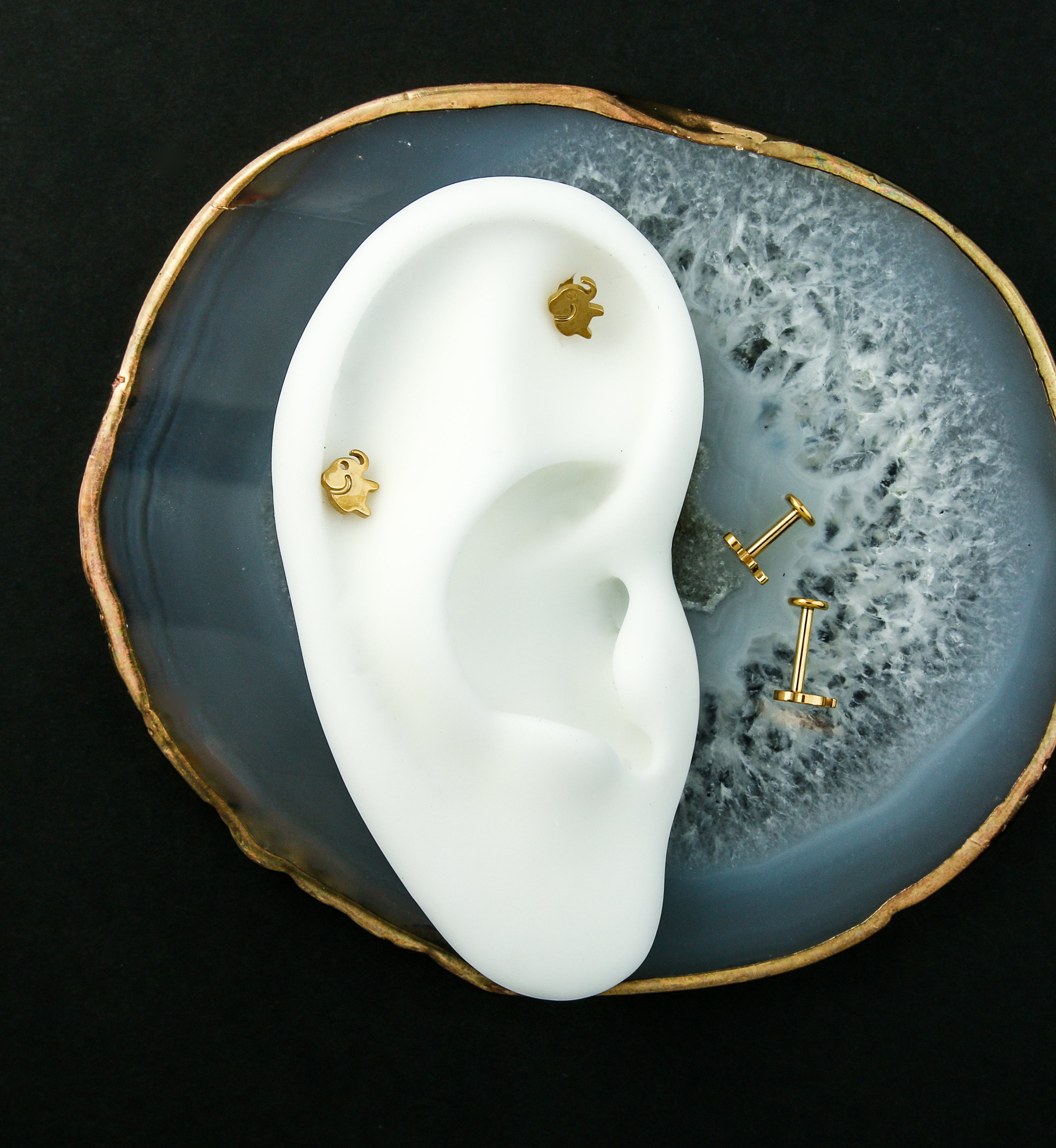 Gold PVD Elephant Internally Threaded Titanium Labret