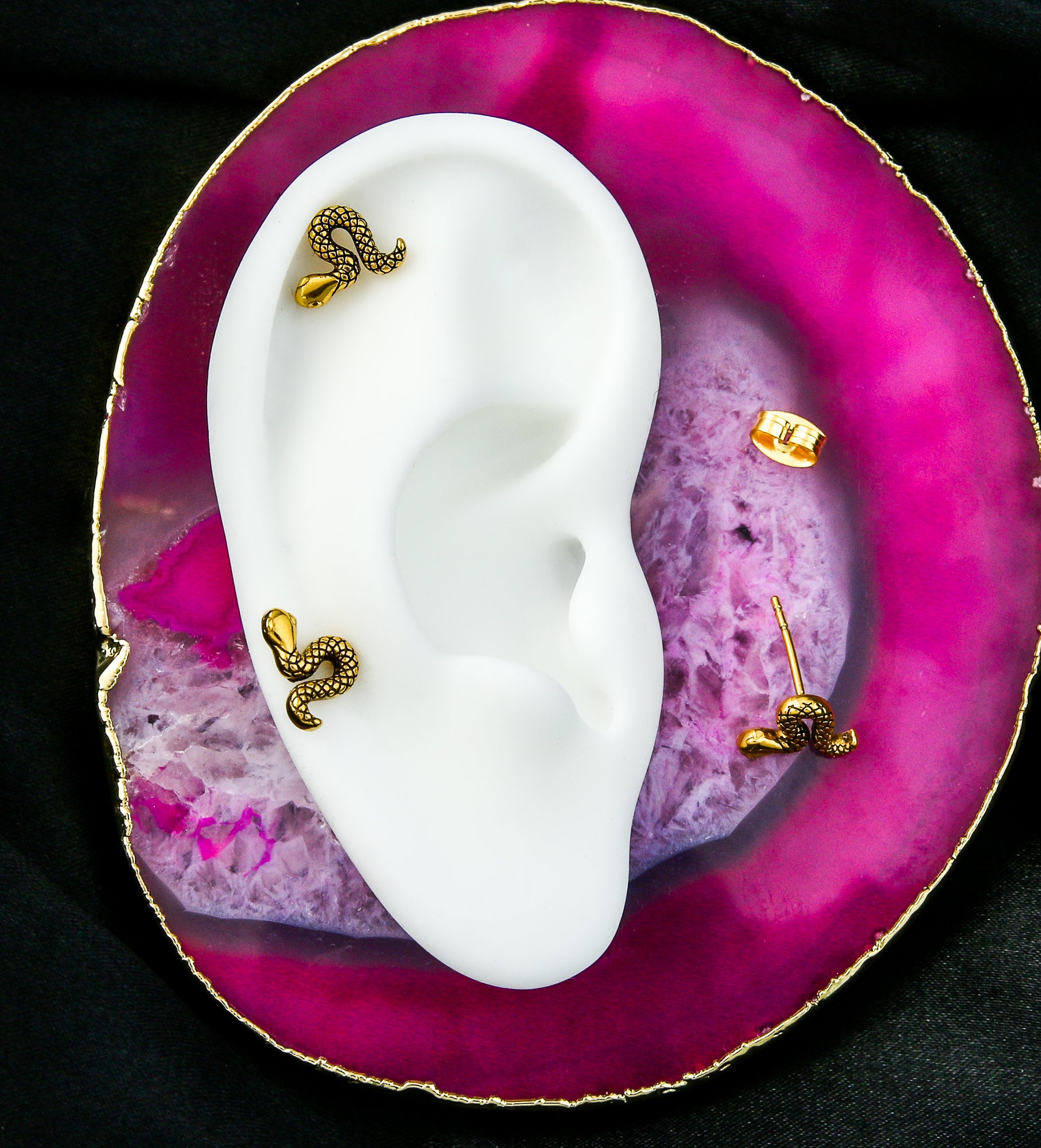 Gold PVD Etched Snake Stainless Steel Stud Earrings