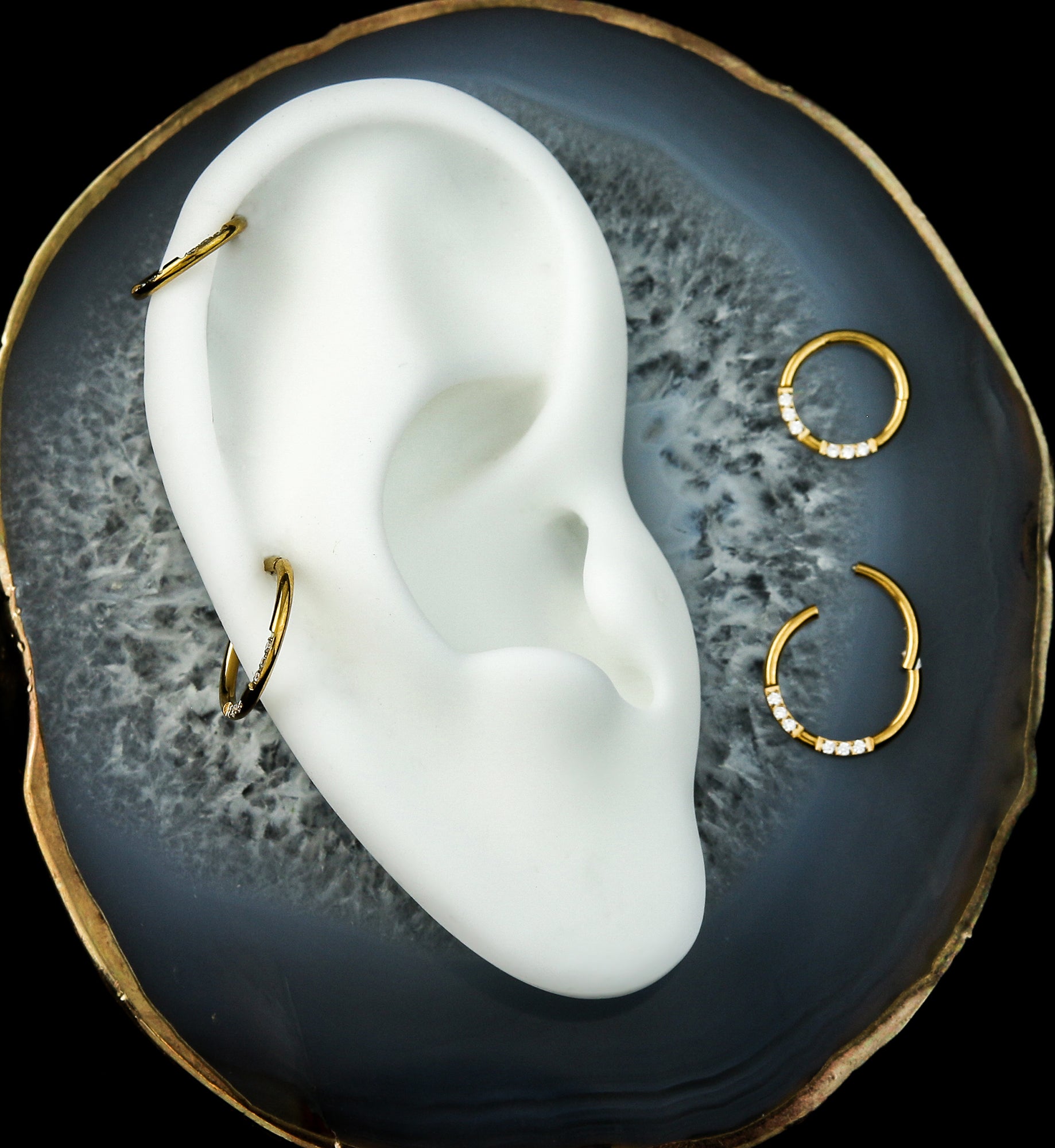 Gold PVD Ethereal Front Facing Clear CZ Stainless Steel Hinged Segment Ring