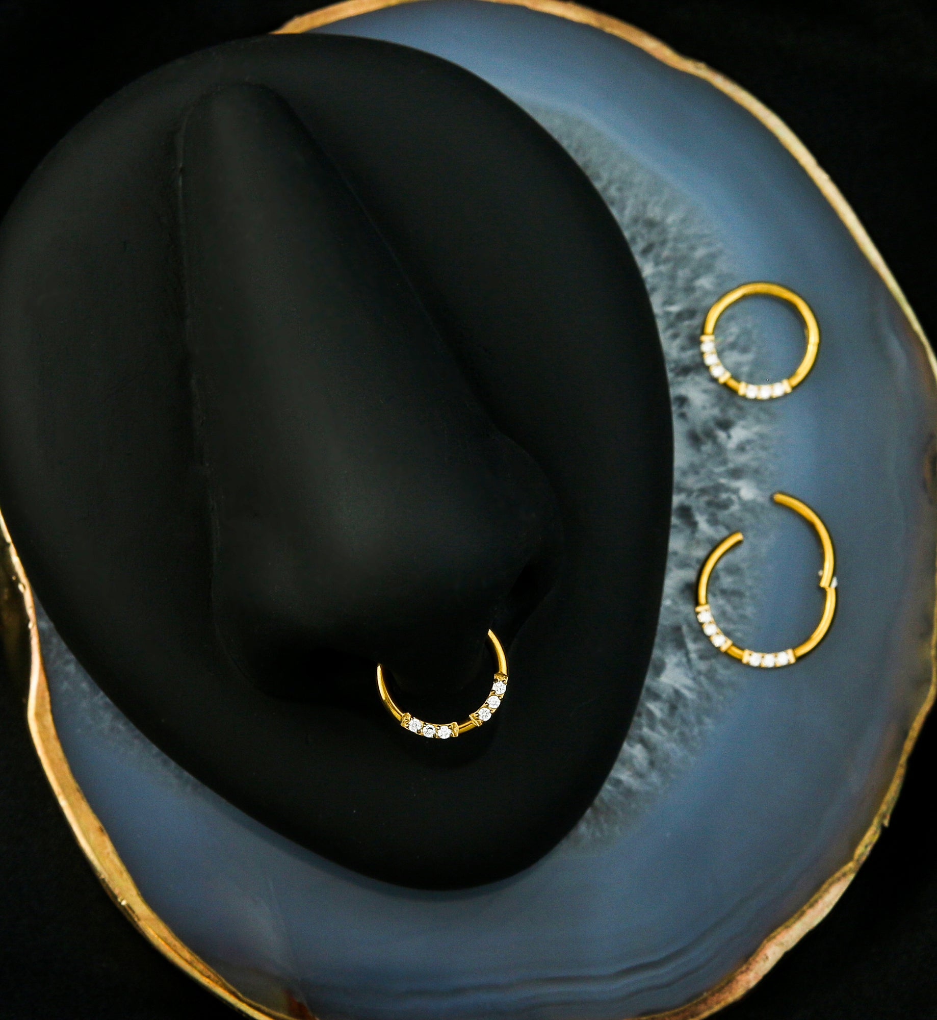 Gold PVD Ethereal Front Facing Clear CZ Stainless Steel Hinged Segment Ring