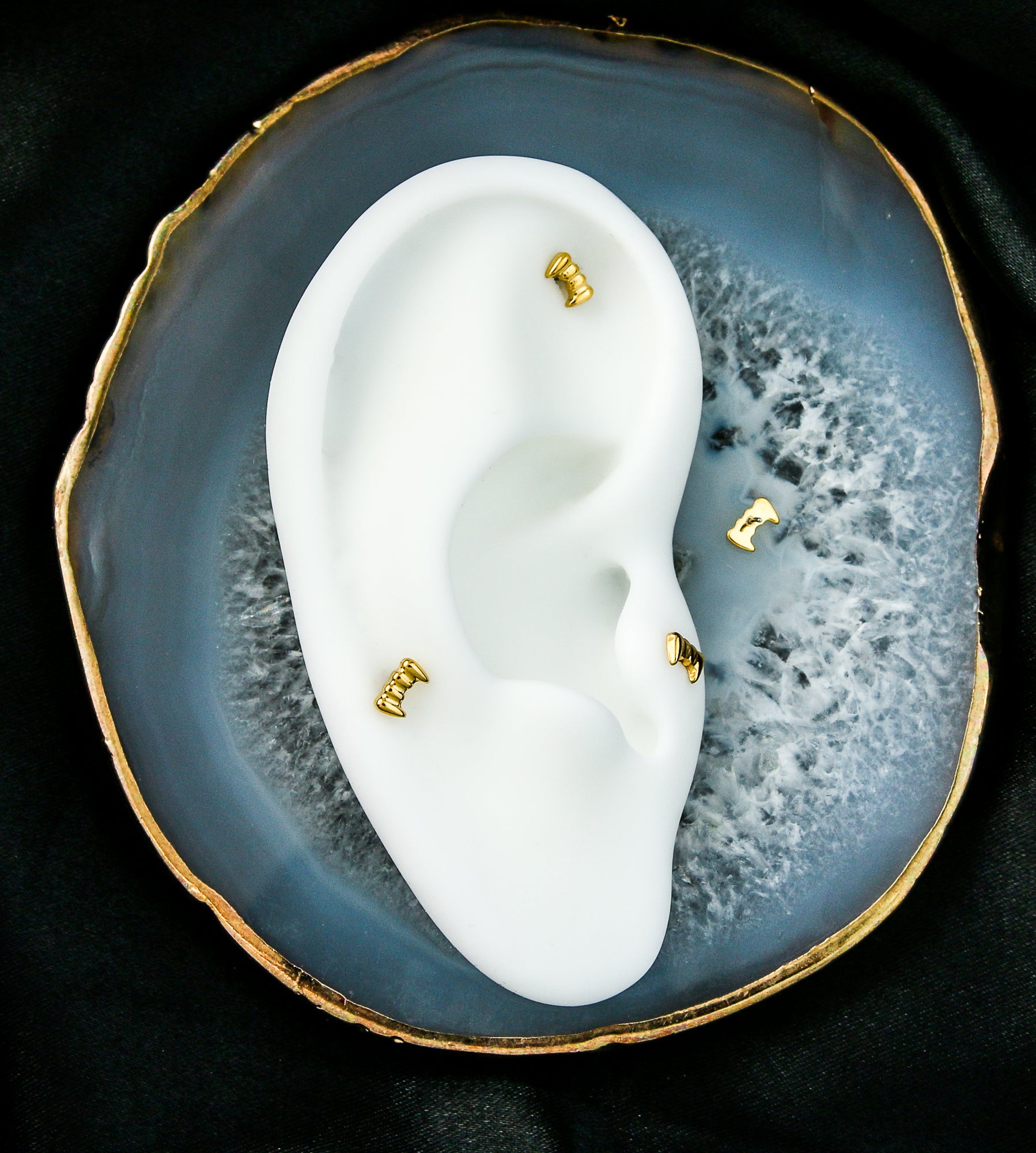 Gold PVD Fangs Titanium Threadless Top