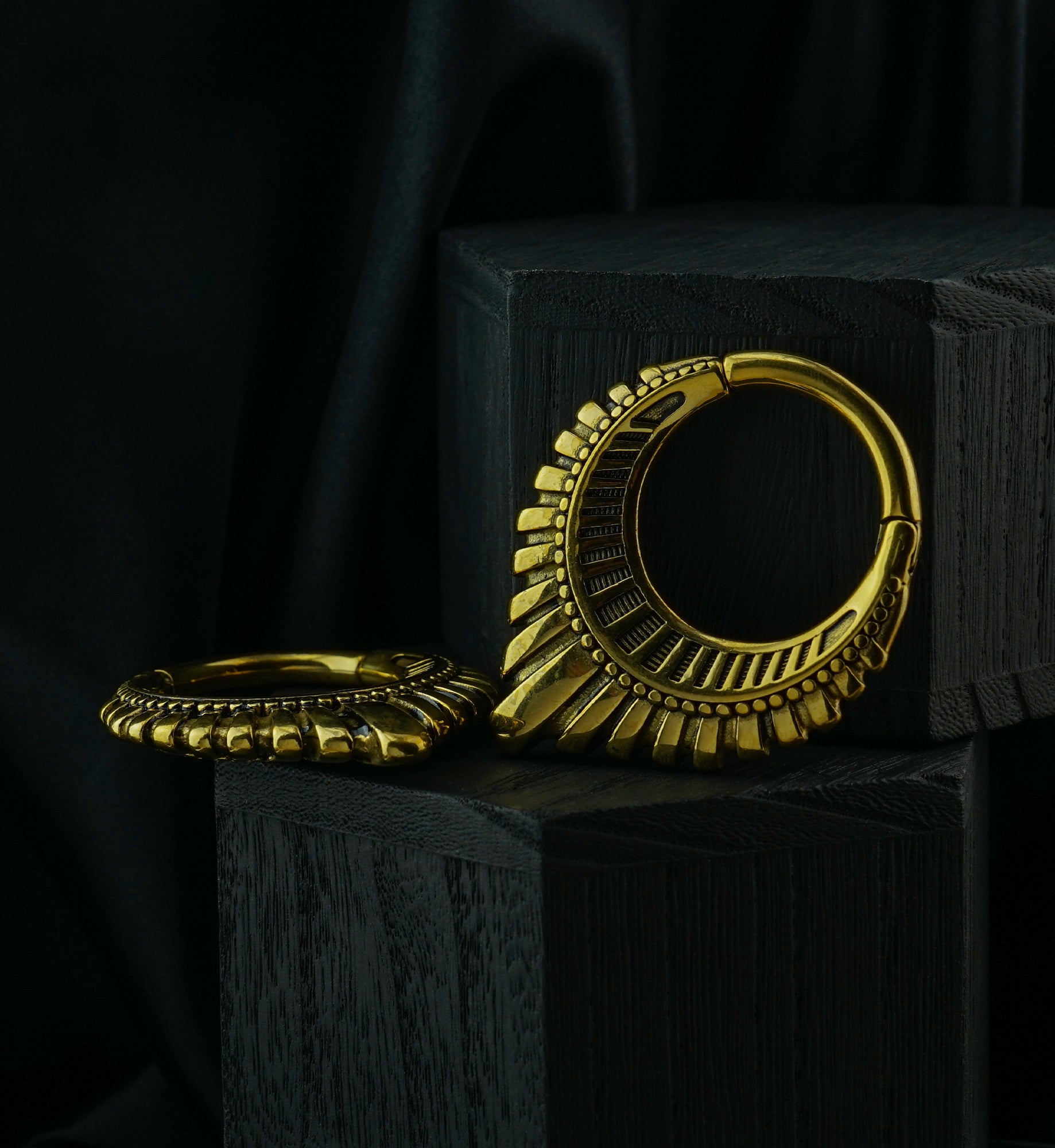 Gold PVD Heraldry Pointed Stainless Steel Hinged Ear Weights