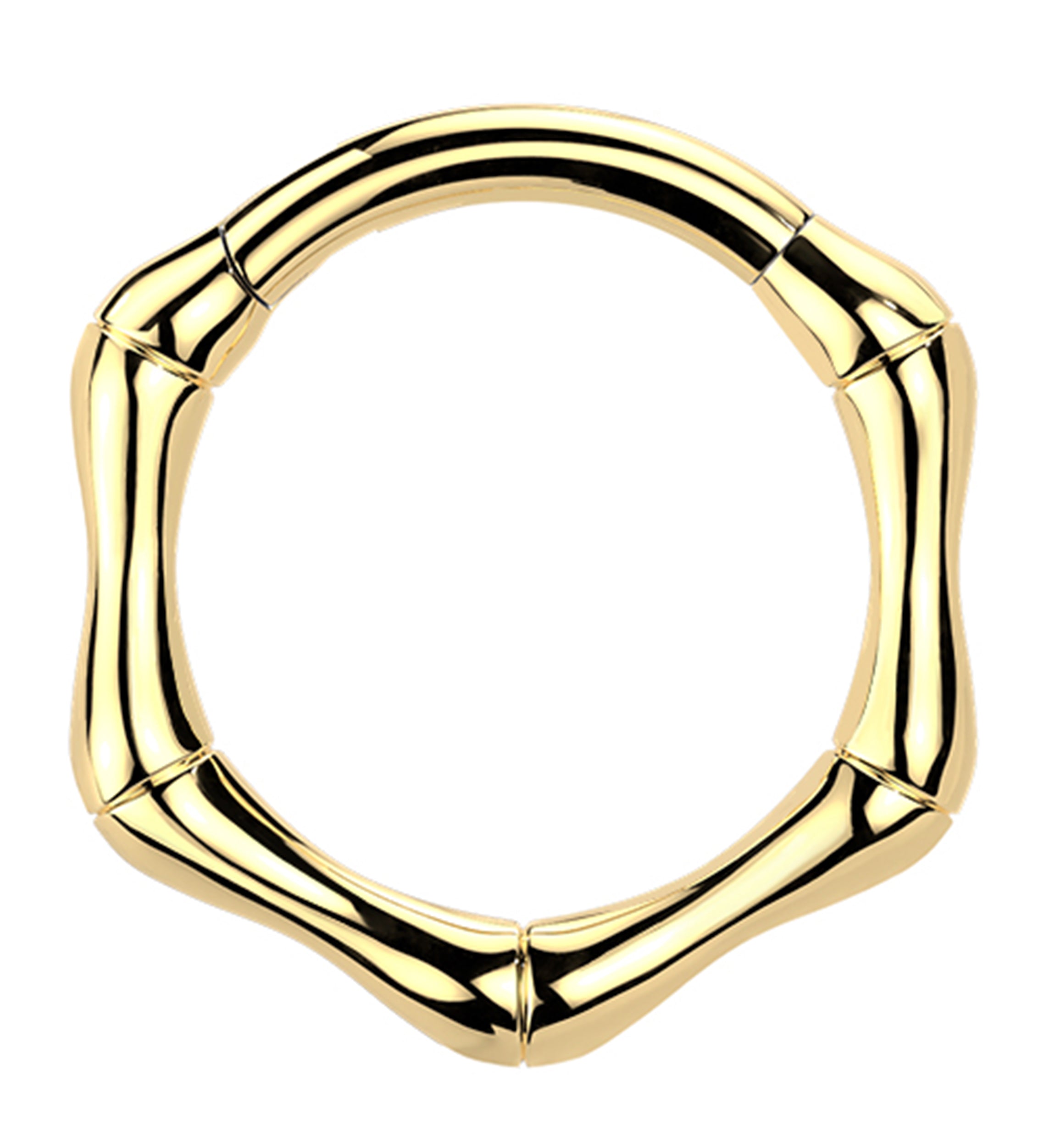 Gold PVD Joint Titanium Hinged Segment Ring
