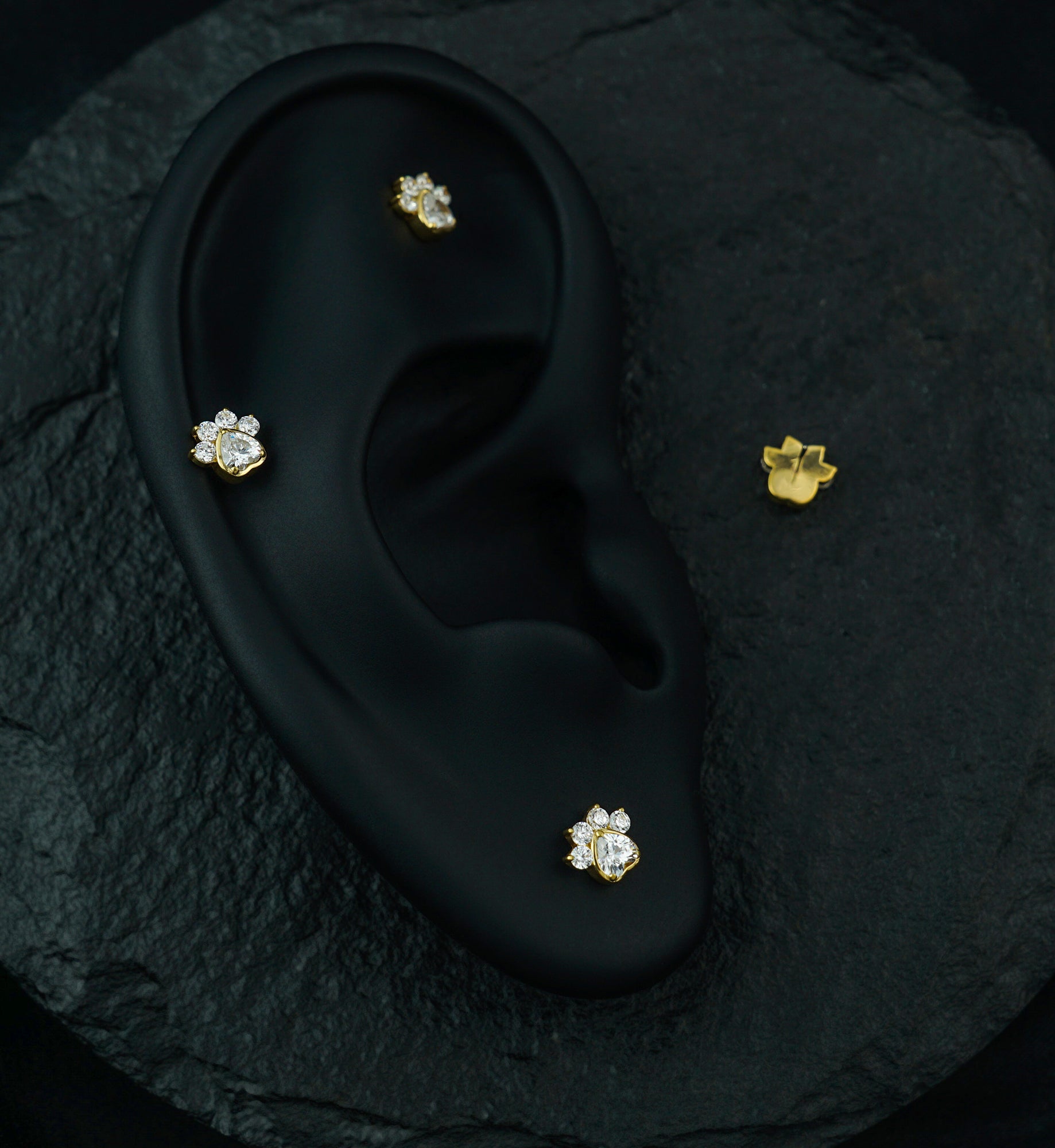 Gold PVD Pet Paw Clear CZ Threadless Titanium Top