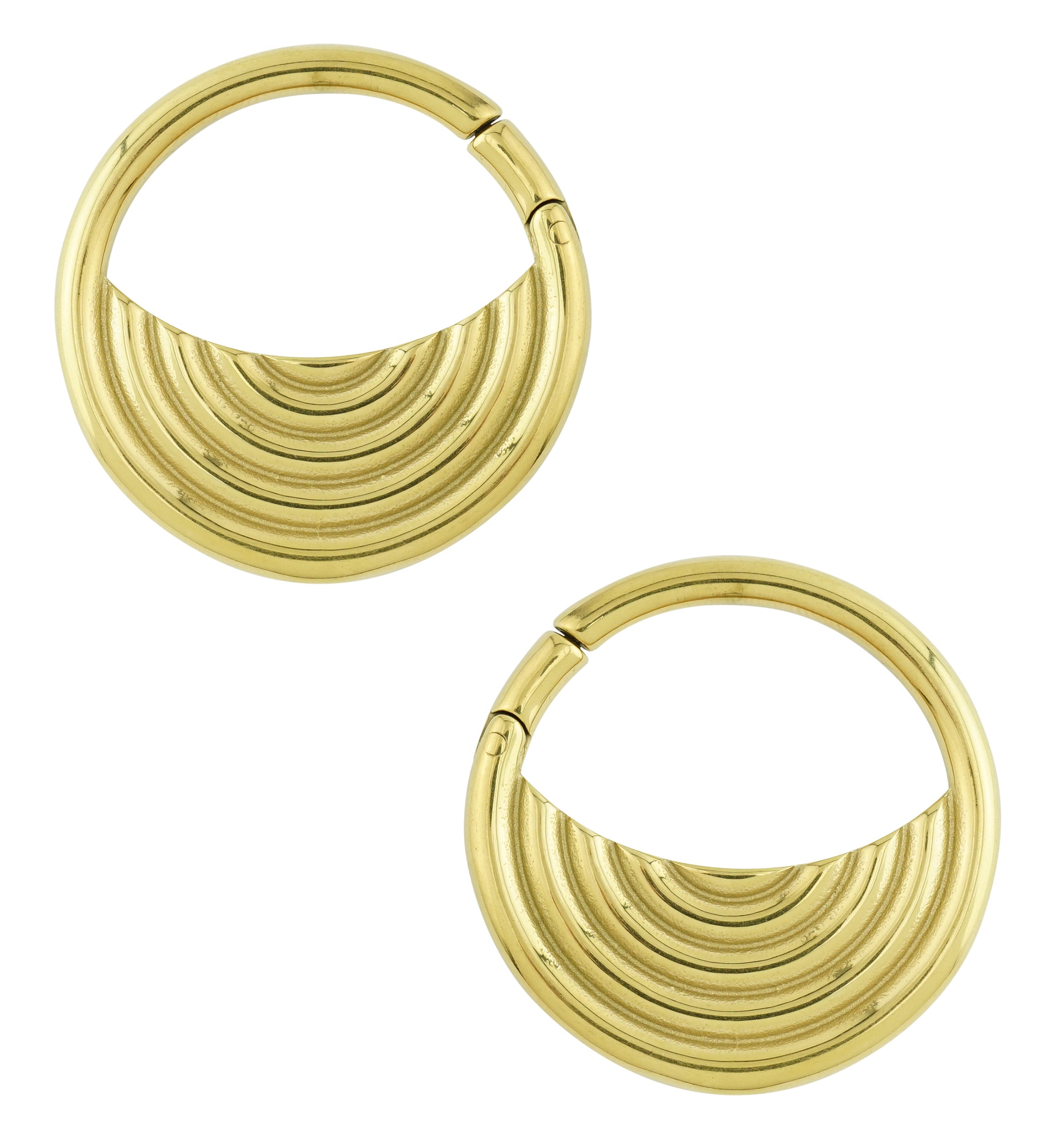 Gold PVD Radial Stainless Steel Hinged Ear Weights