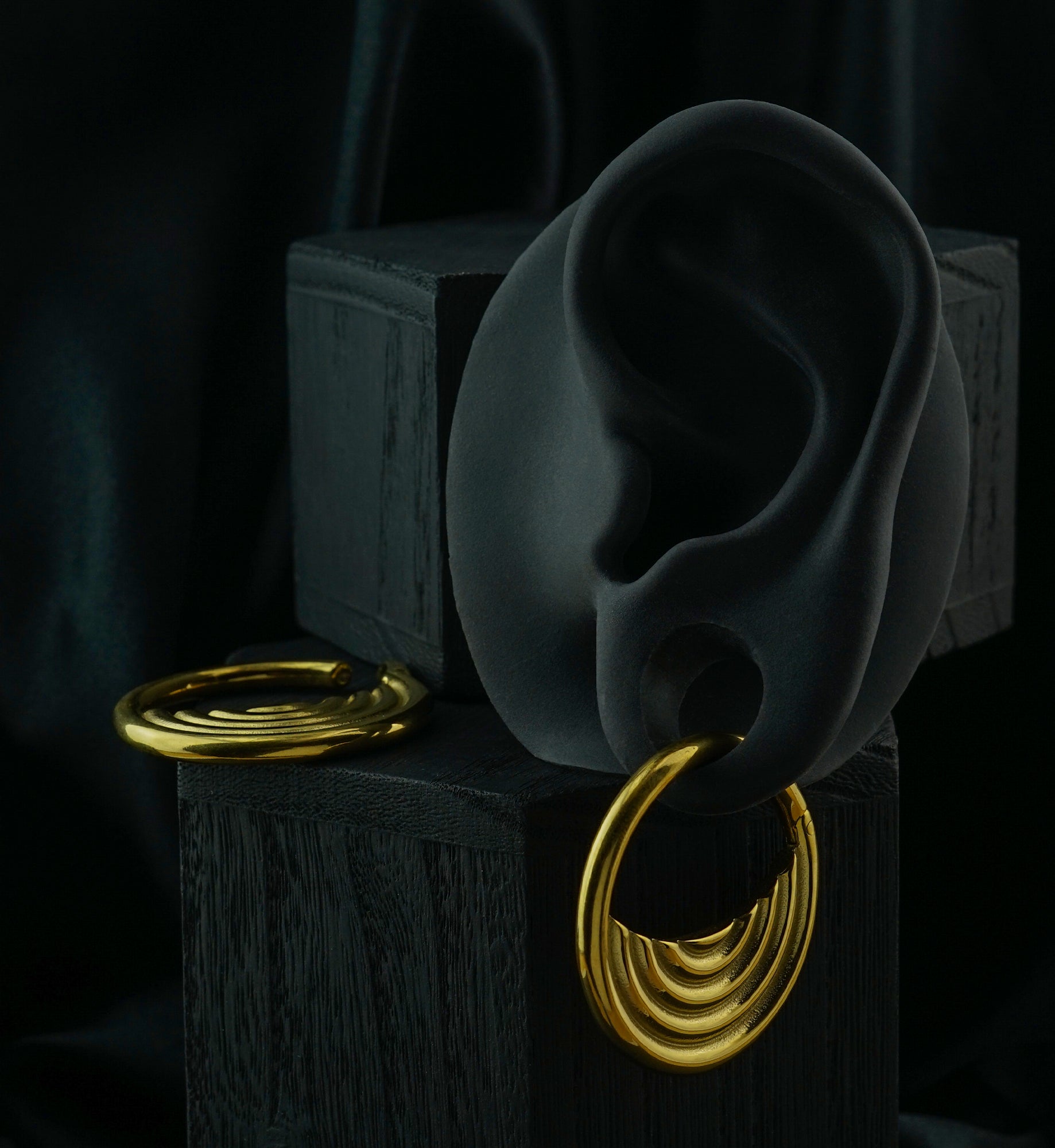 Gold PVD Radial Stainless Steel Hinged Ear Weights