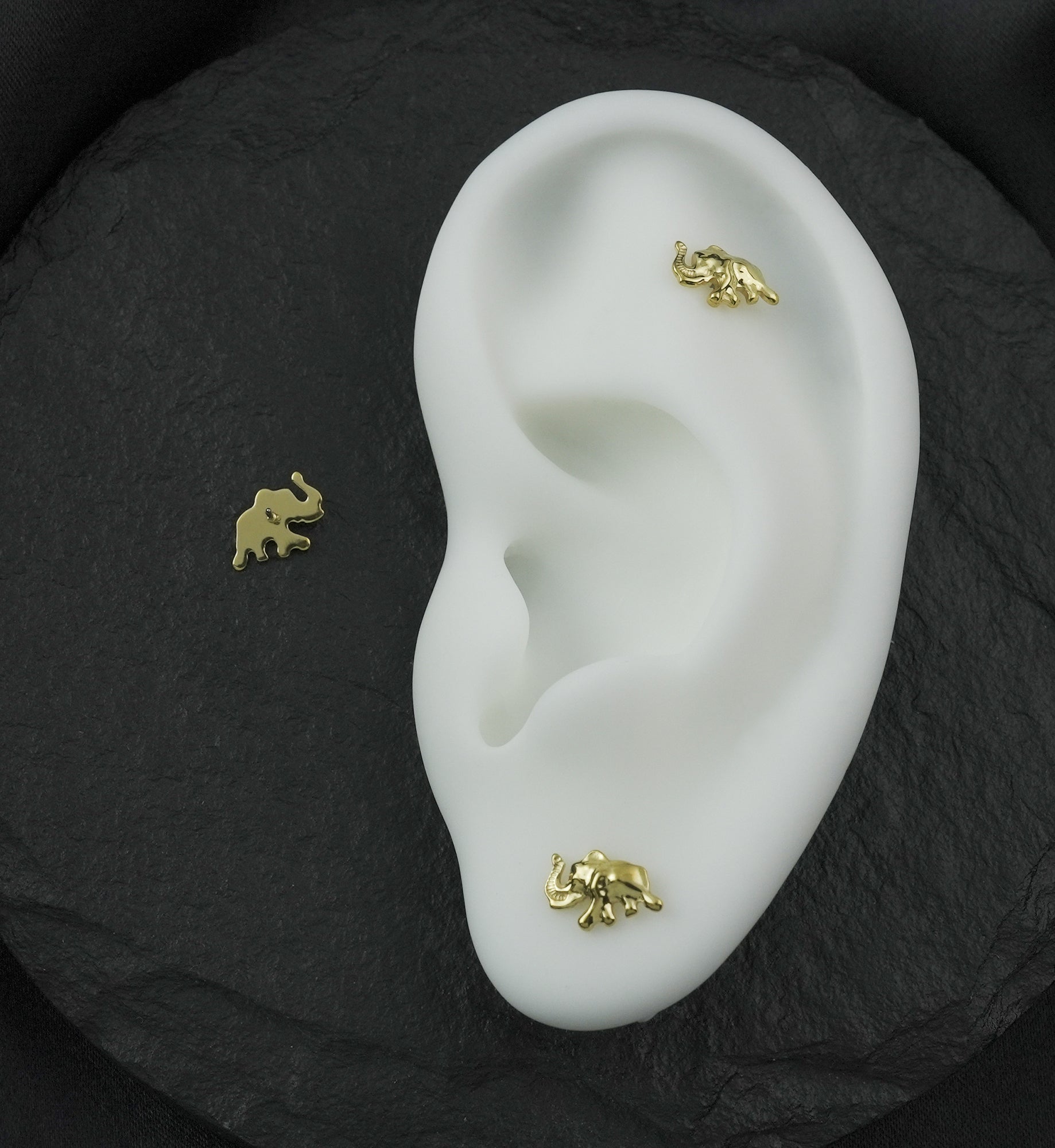 Gold PVD Running Elephant Titanium Threadless Top