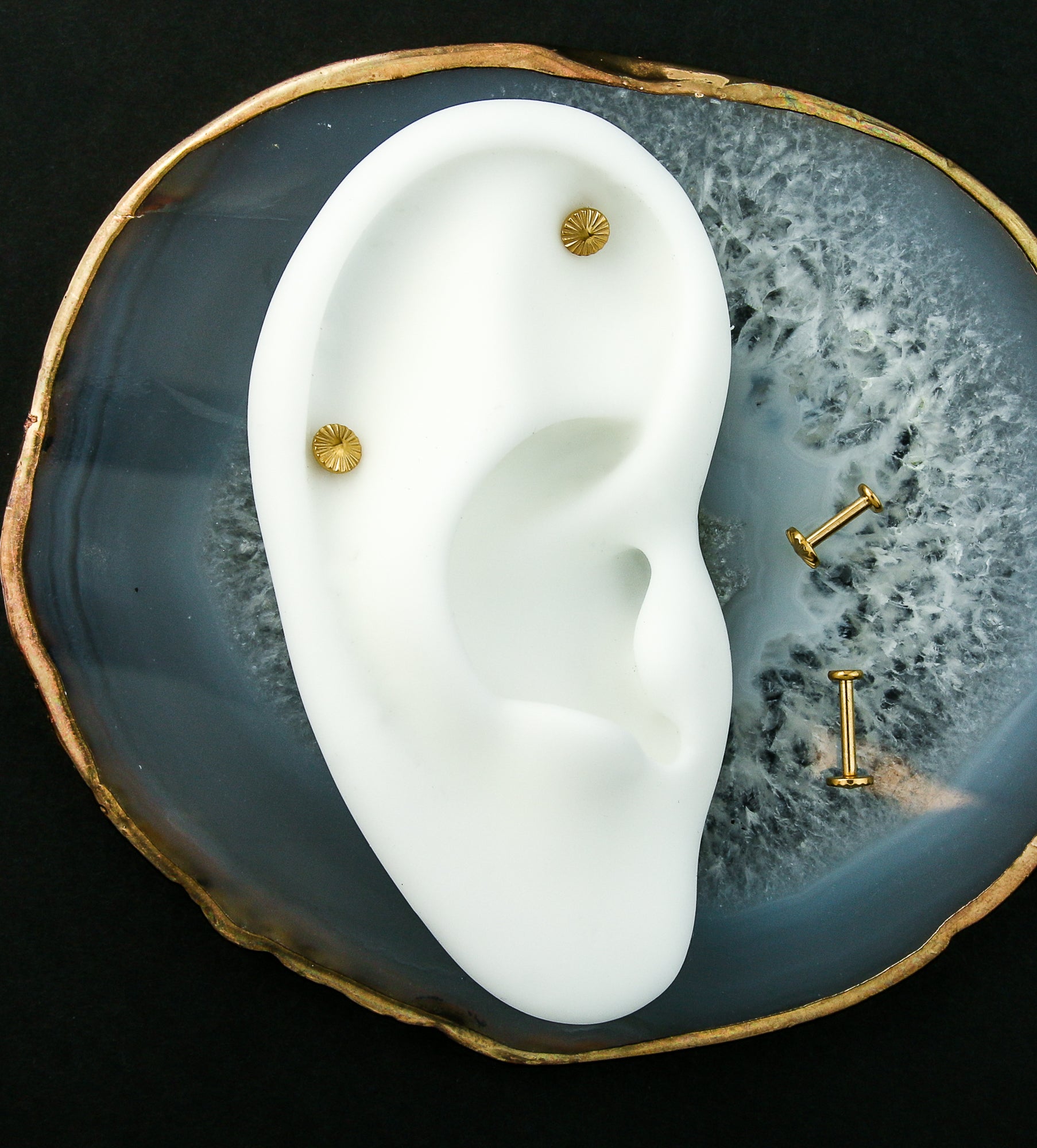 Gold PVD Score Internally Threaded Titanium Labret