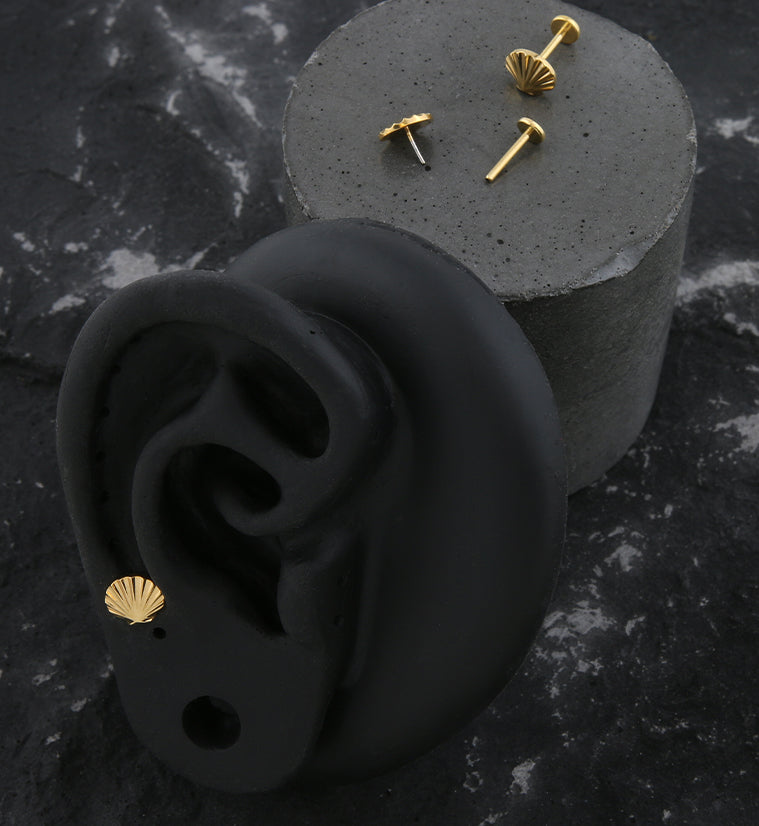 Gold PVD Seashell Threadless Titanium Labret