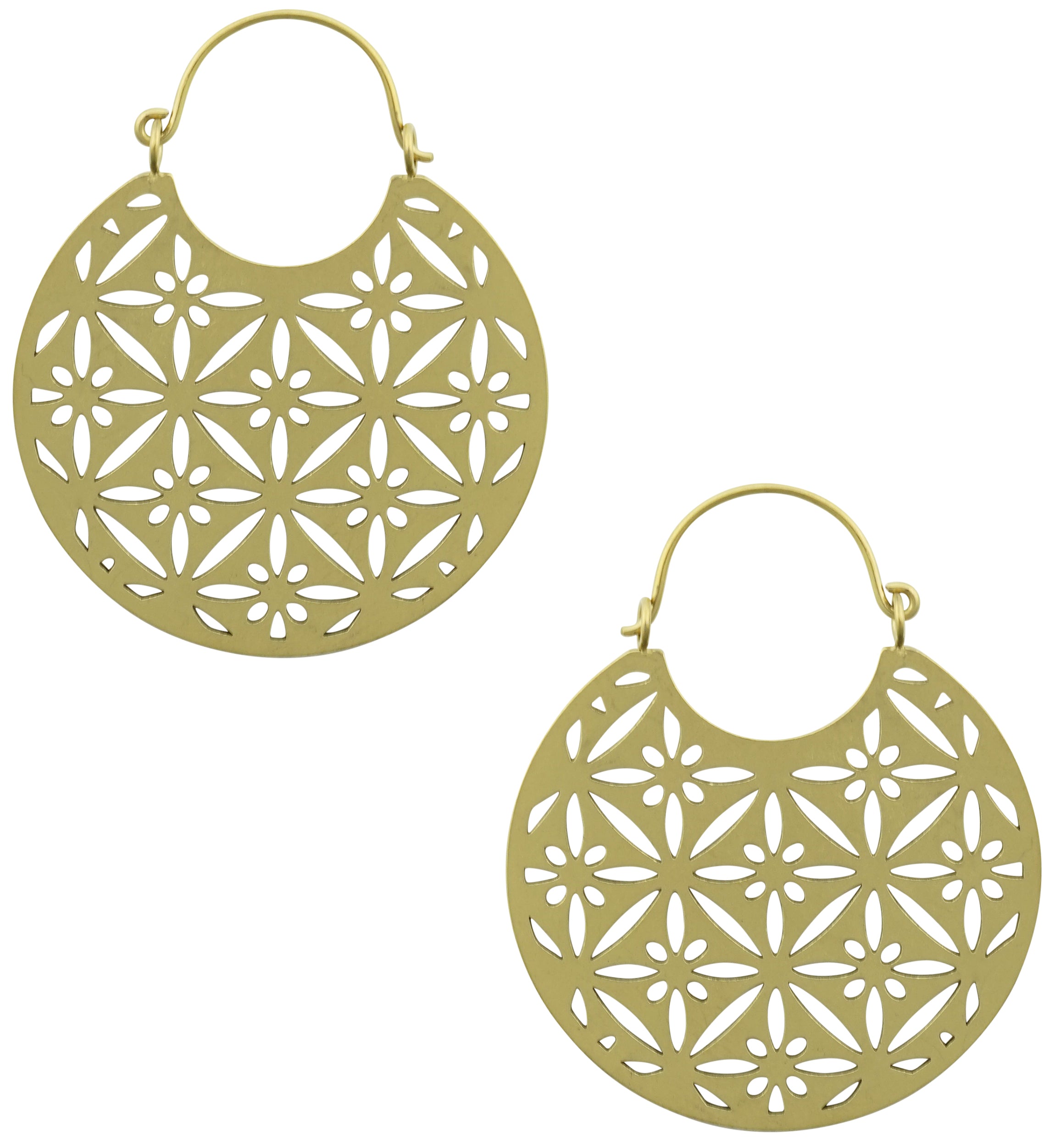 Gold PVD Star Shine Stainless Steel Plug Hoops