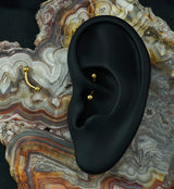 Gold PVD Titanium Curved Barbell