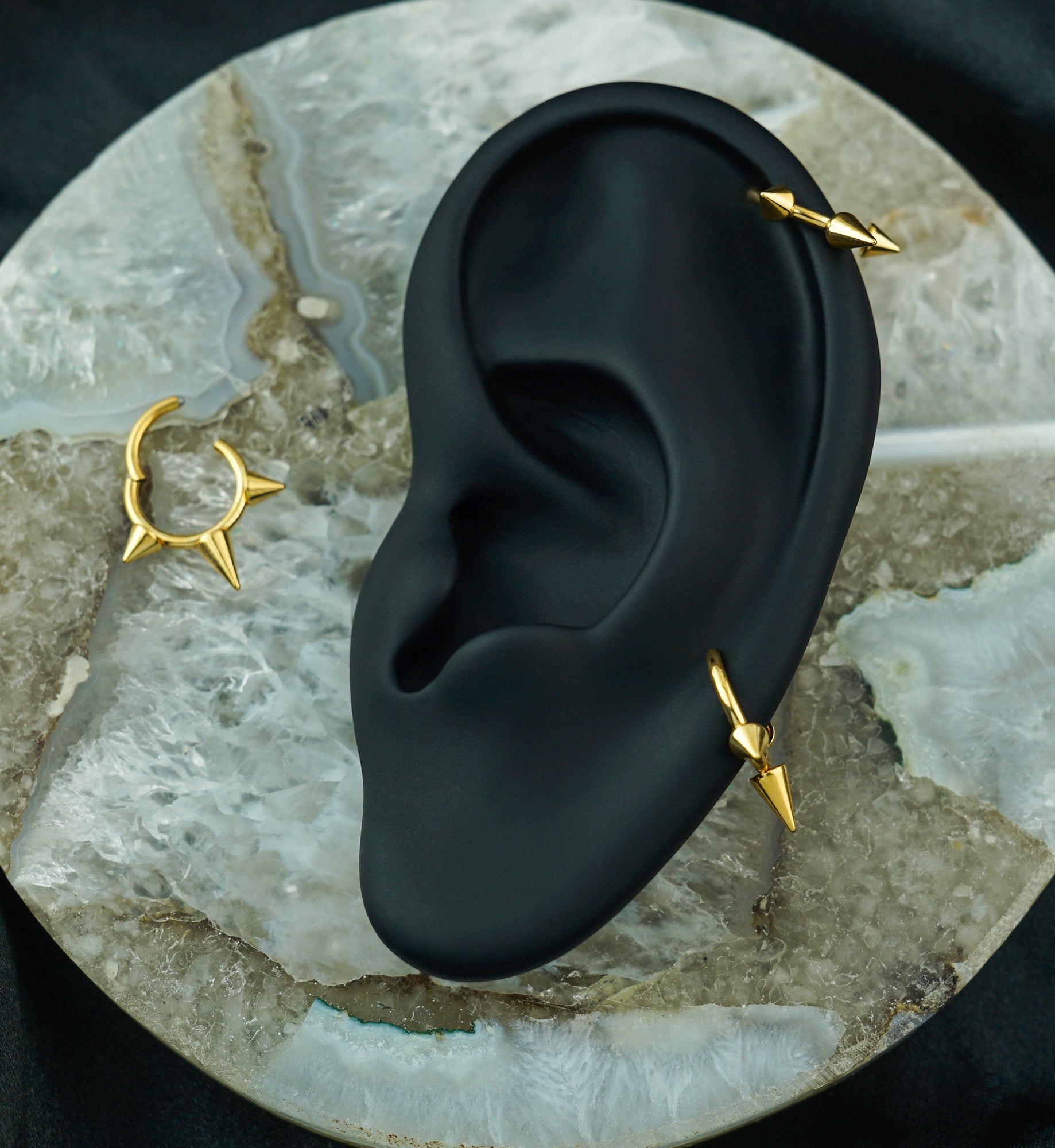 Gold PVD Titanium Hinged Spiked Segment Ring