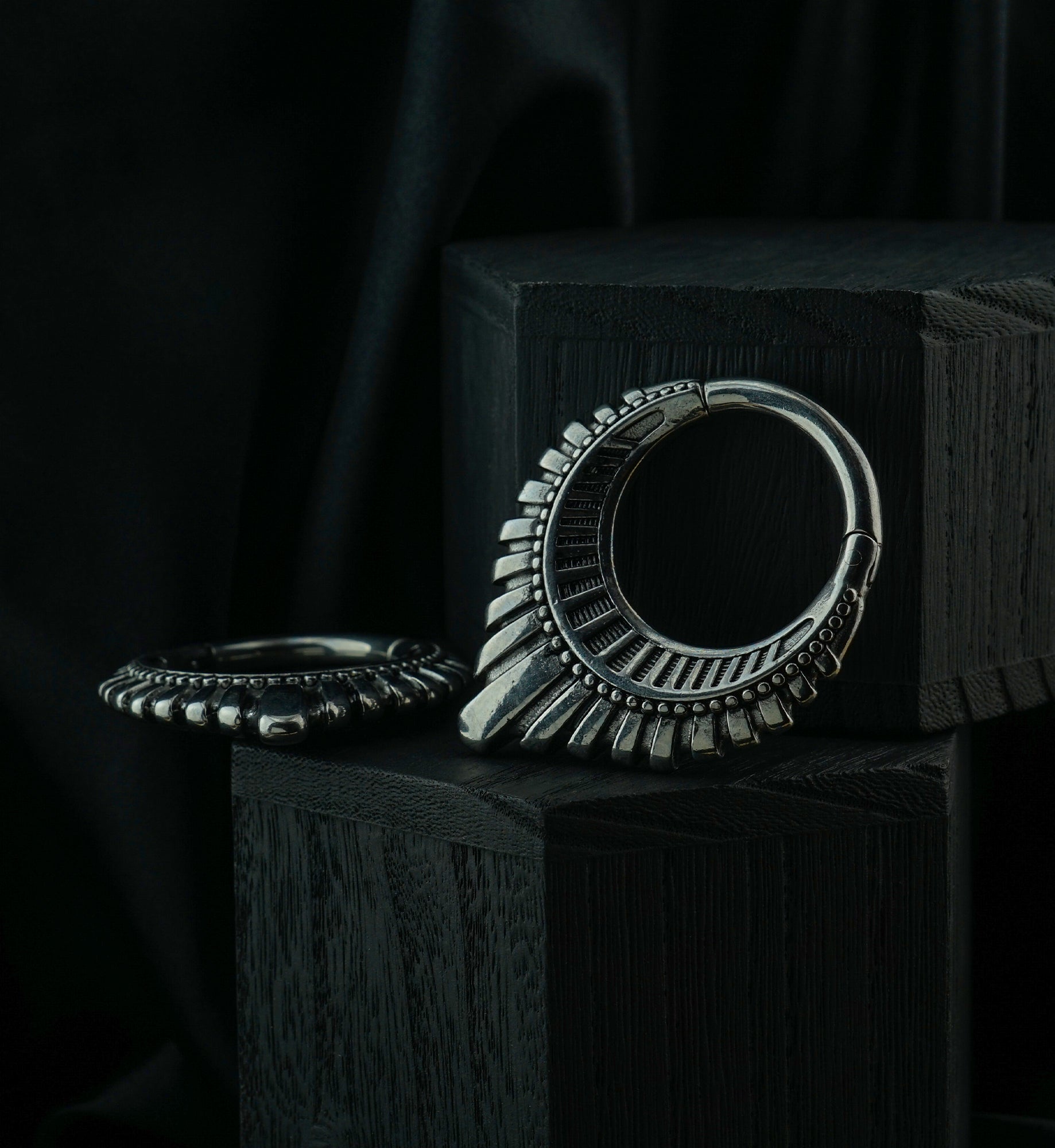 Heraldry Pointed Stainless Steel Hinged Ear Weights