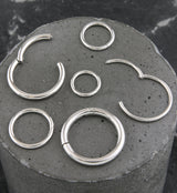 Hinged Stainless Steel Segment Hoop Ring