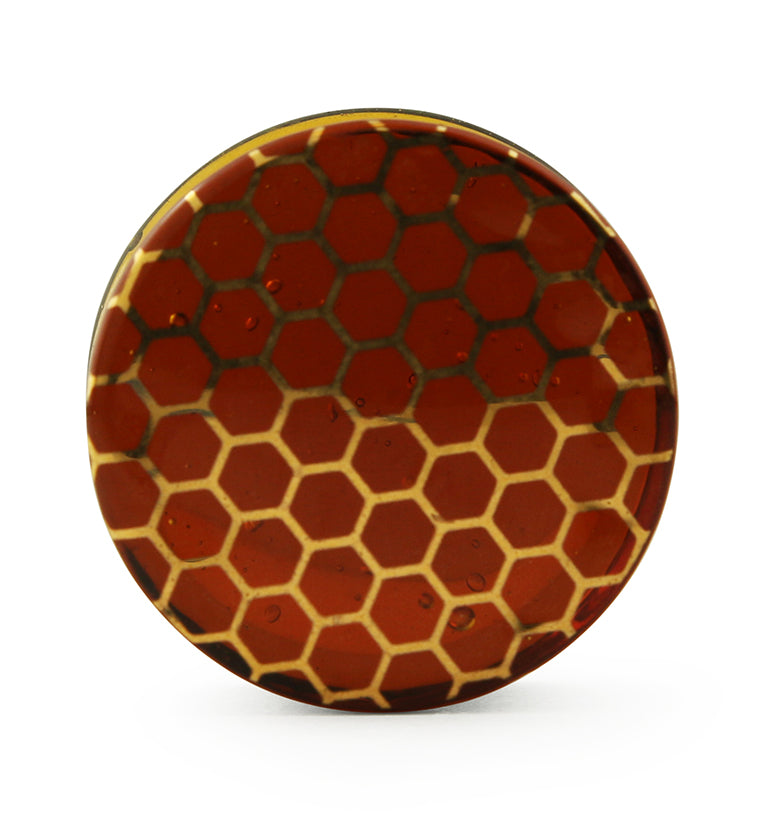Honeycomb Glass Plugs