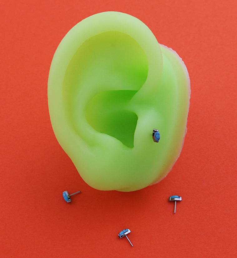 Howlite Turquoise Marquise Stone Titanium Threadless Top