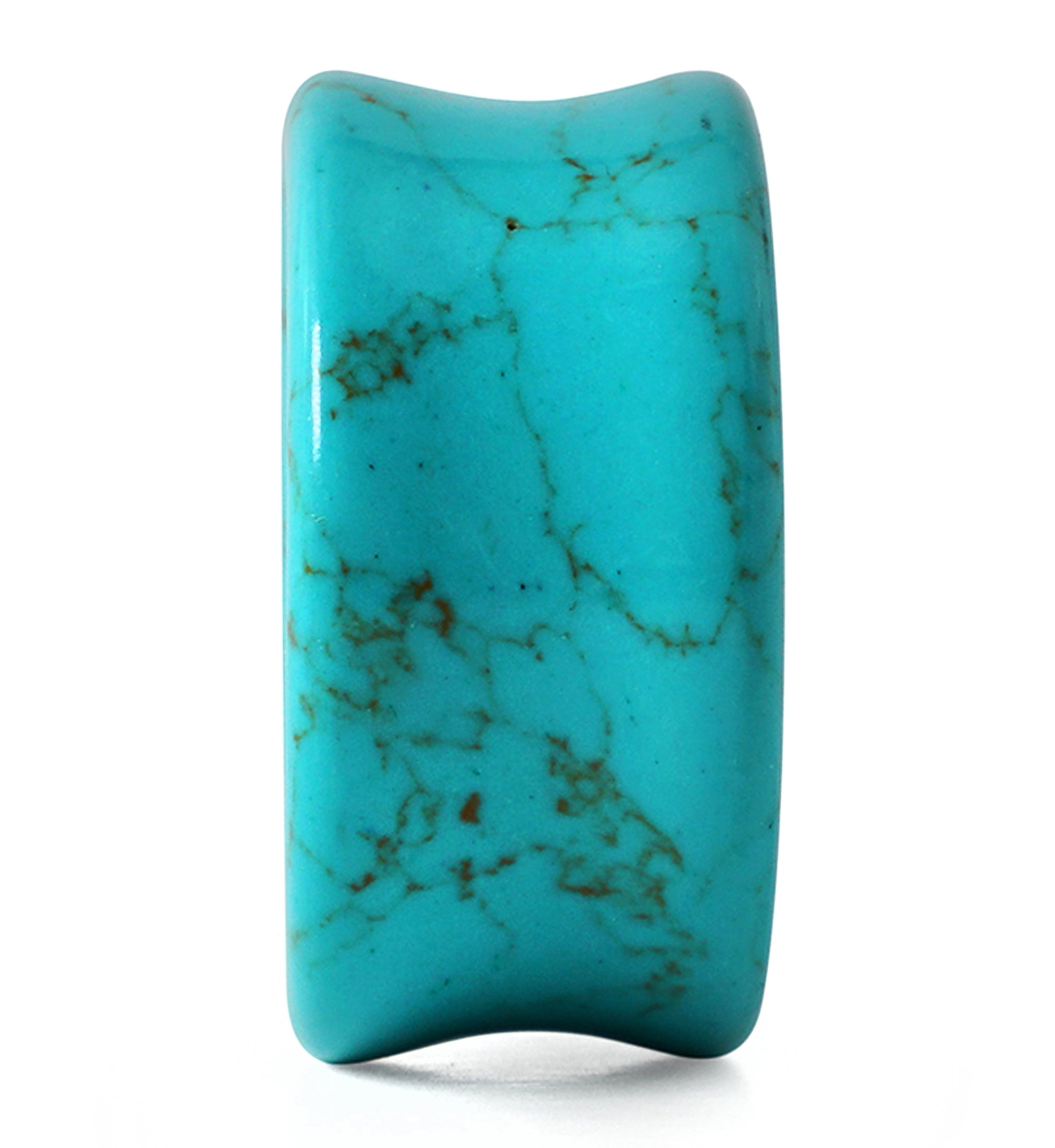 Howlite Turquoise Thick Wall Tunnels