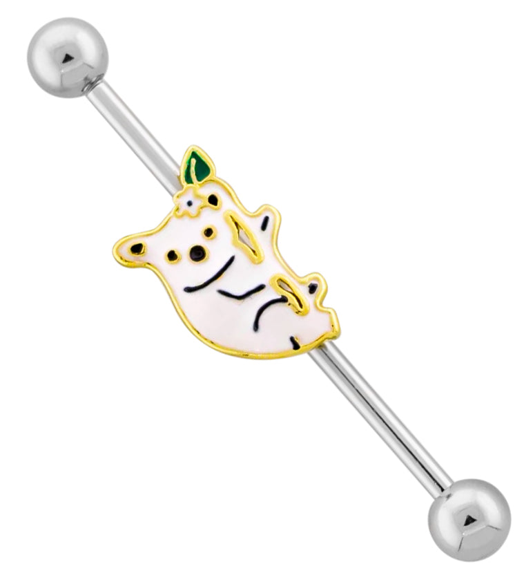 Koala Stainless Steel Industrial Barbell