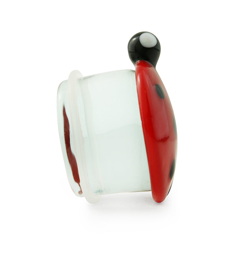 Single Flare Ladybug Glass Plugs