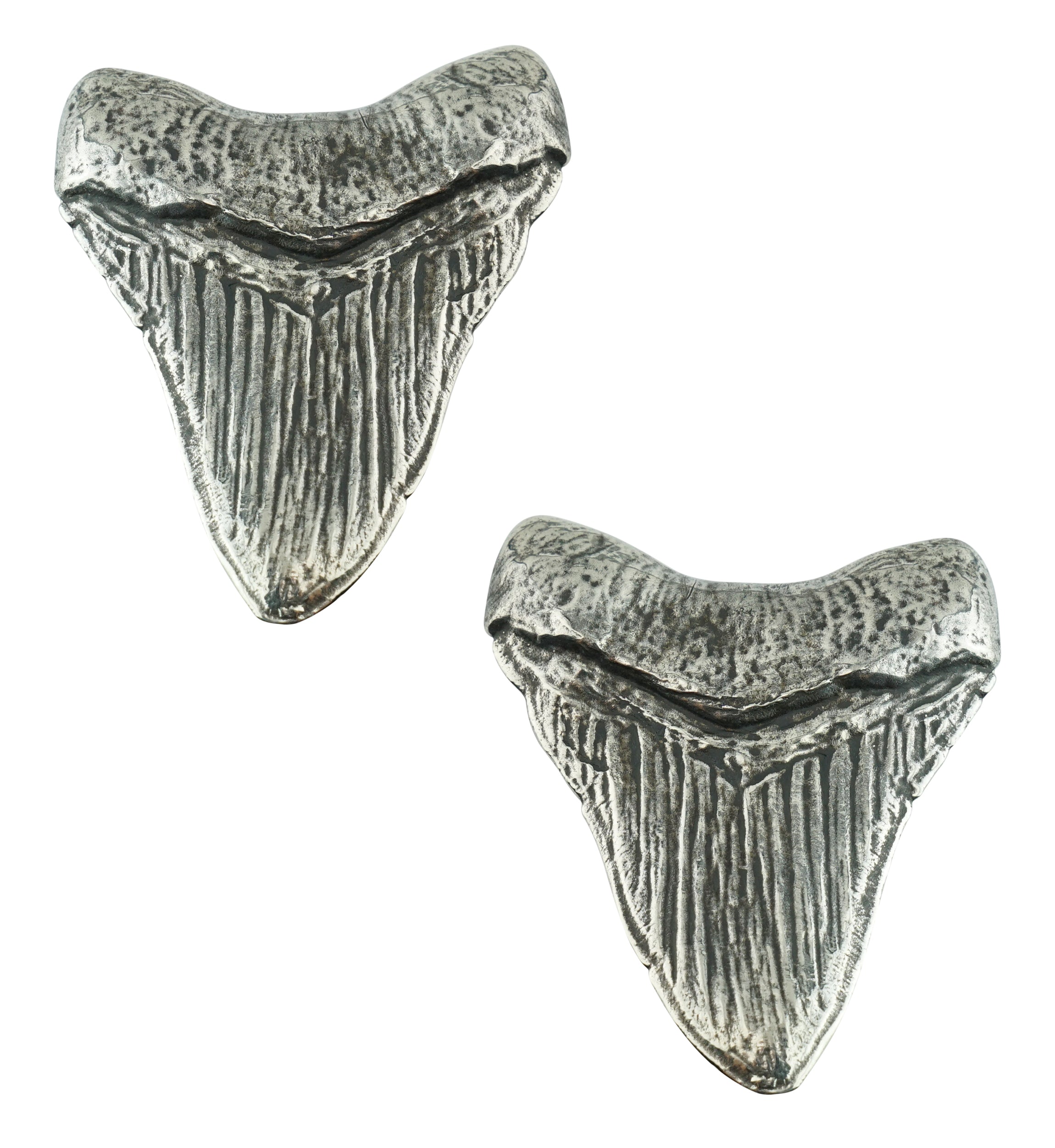 Megalodon White Brass Ear Weights
