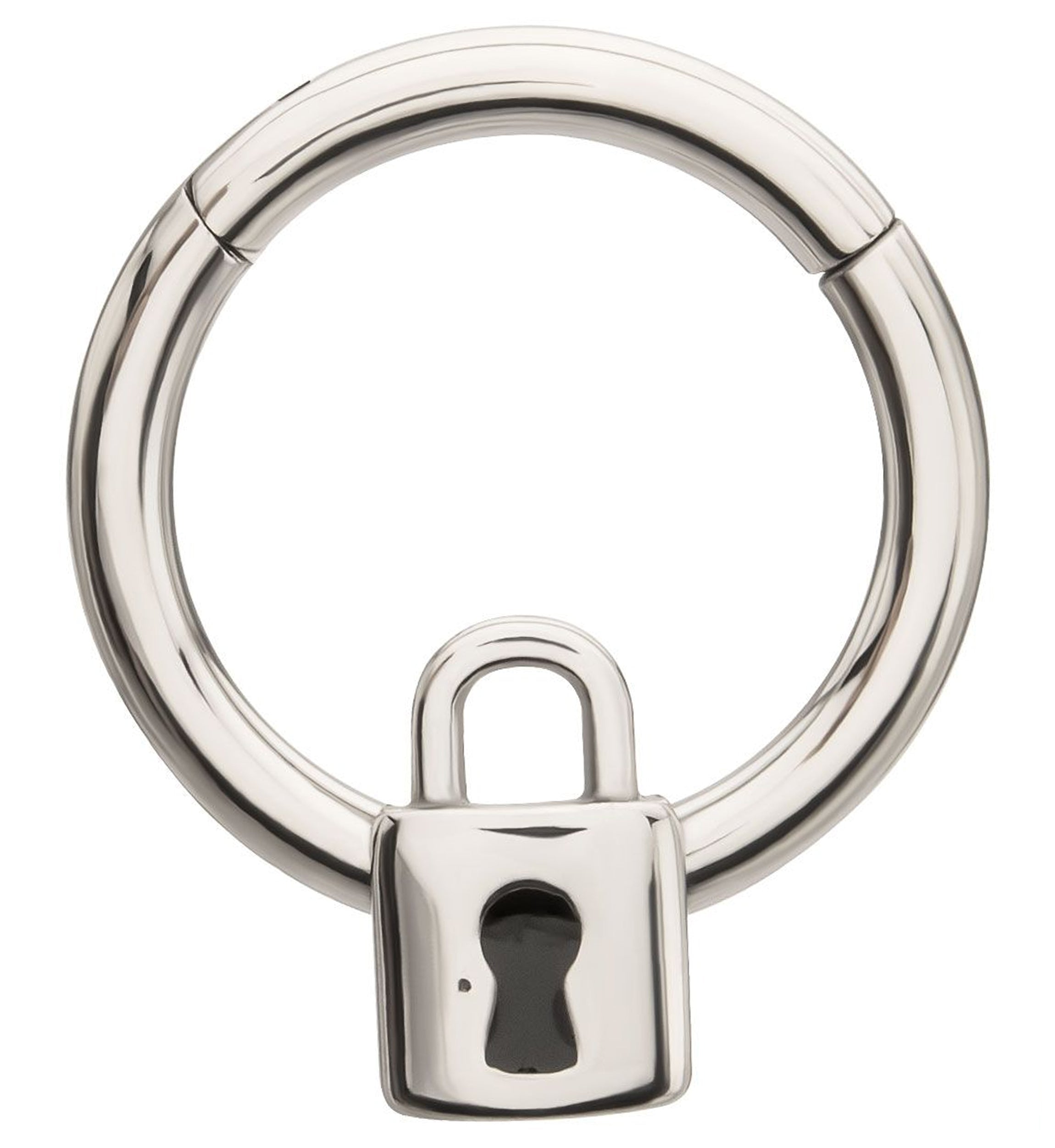 Lock Stainless Steel Hinged Segment Ring