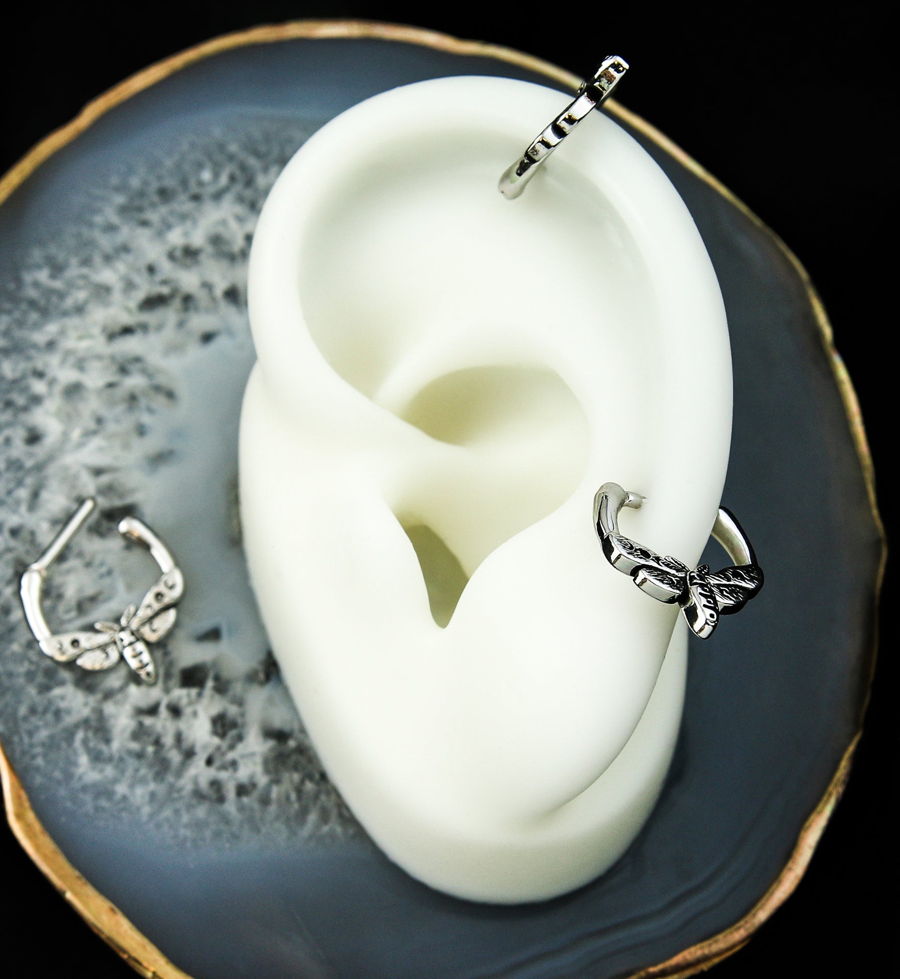 Moon Phase Moth Stainless Steel Hinged Segment Ring