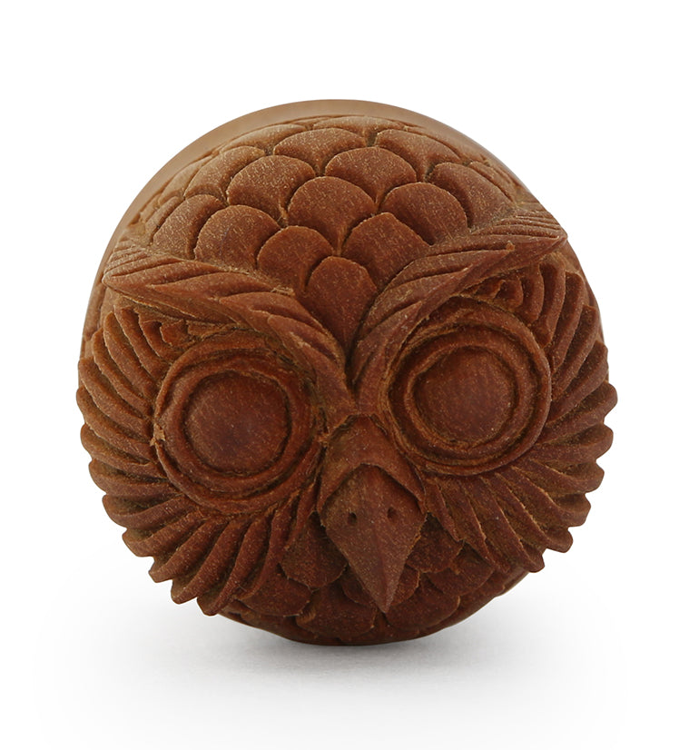 Carved Owl Wood Plugs