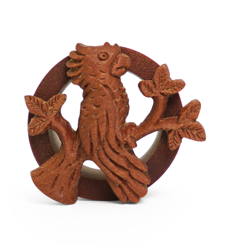 Parrot Carved Saba Wood Tunnels