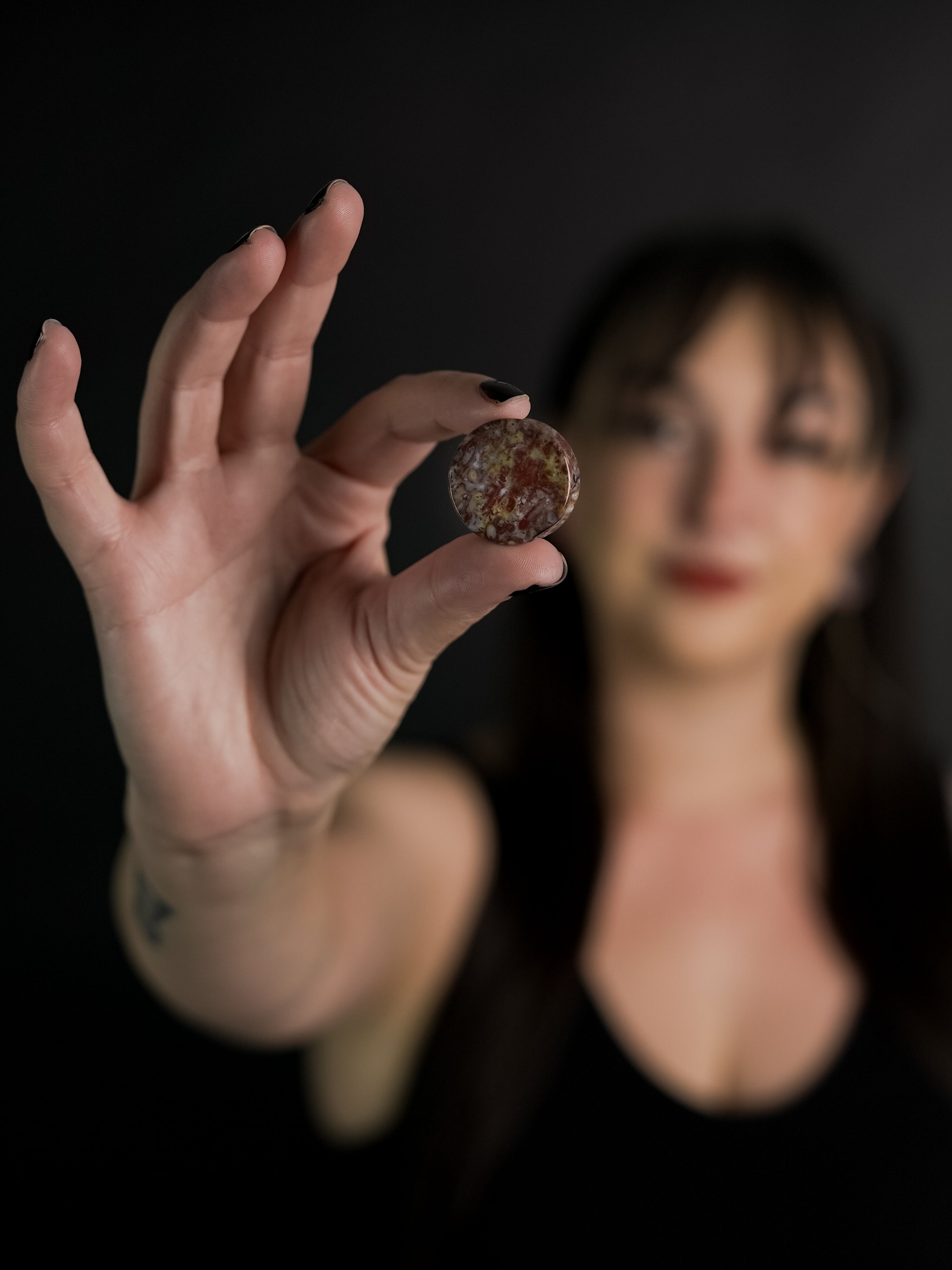 Petrified Palm Root Agate Plugs