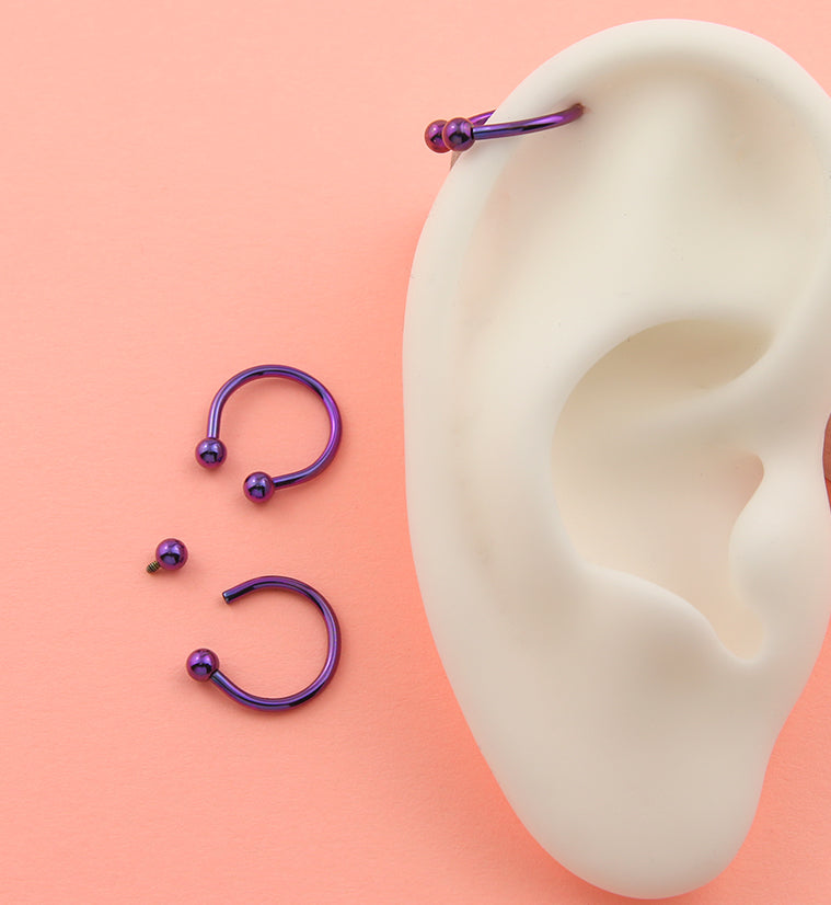 Purple Titanium Circular Barbells