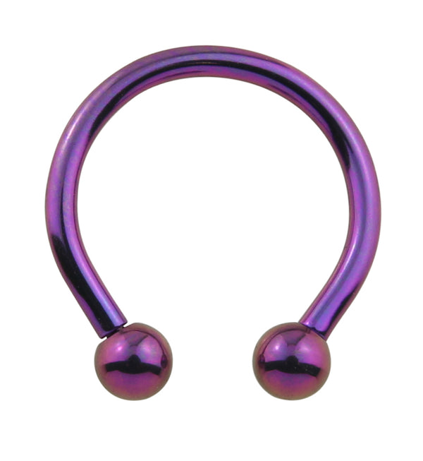 Purple Titanium Circular Barbells