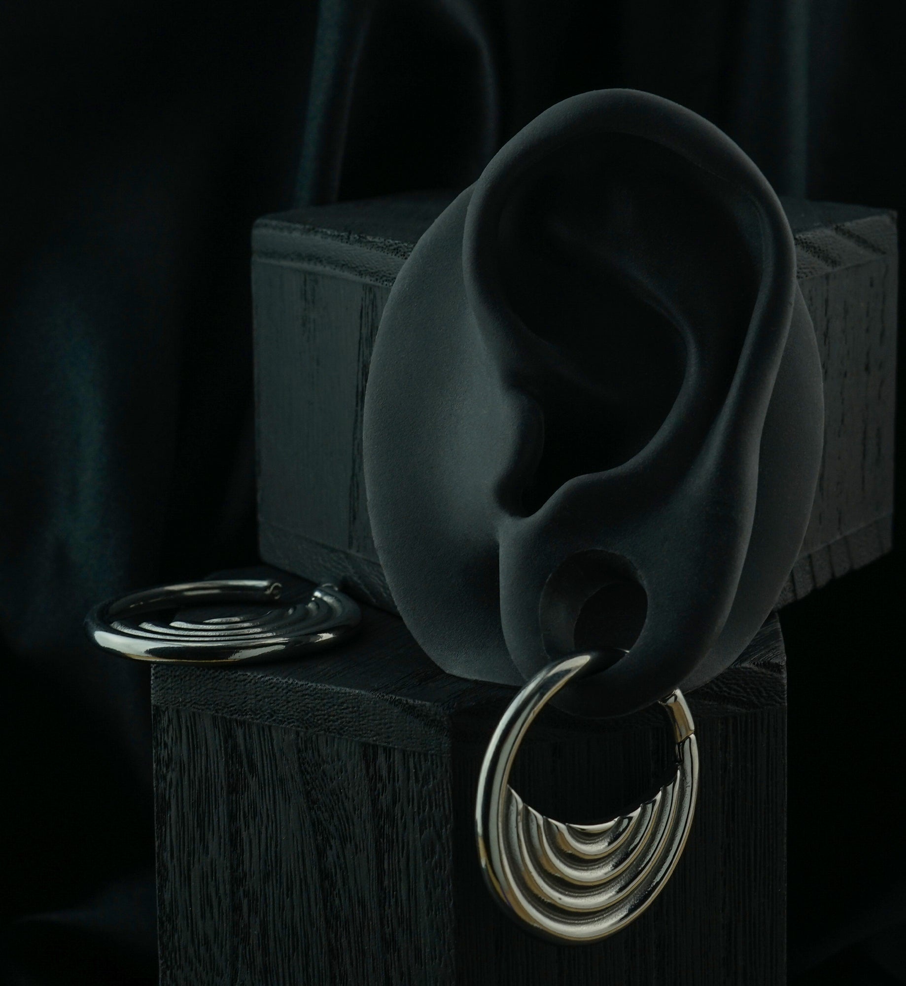 Radial Stainless Steel Hinged Ear Weights