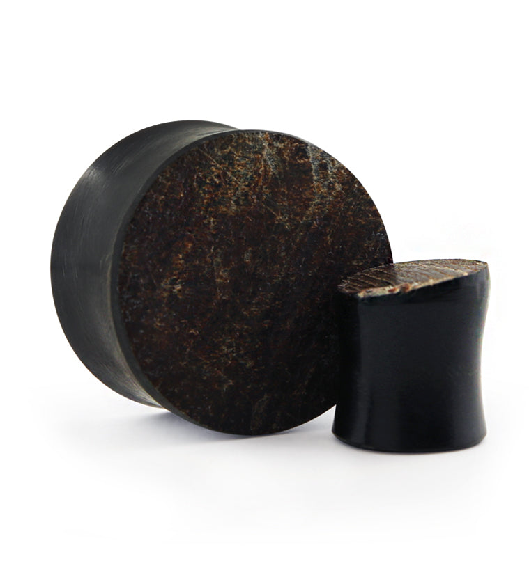 Raw Buffalo Horn Plugs