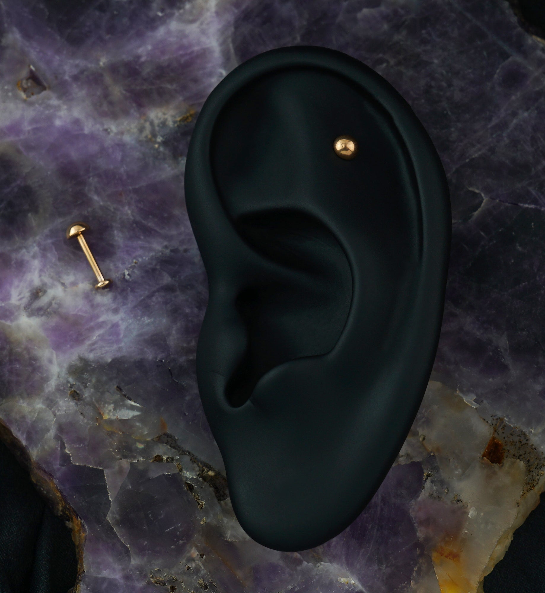 Rose Gold PVD Dome Top Titanium Labret