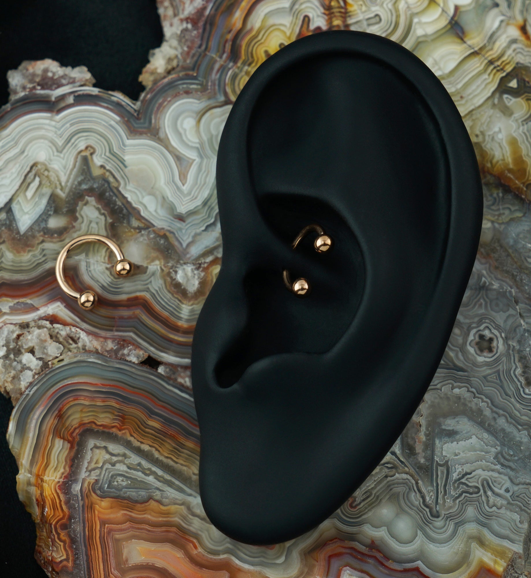 Rose Gold PVD Titanium Circular Barbell